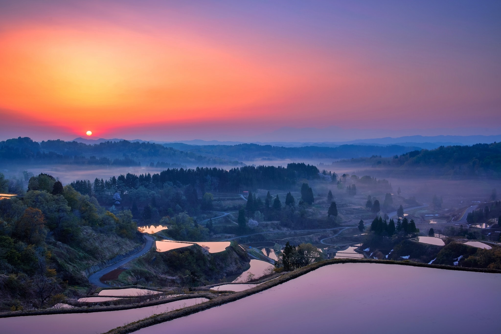 Landscape Nature Valley Mist Rice Paddy 2048x1367