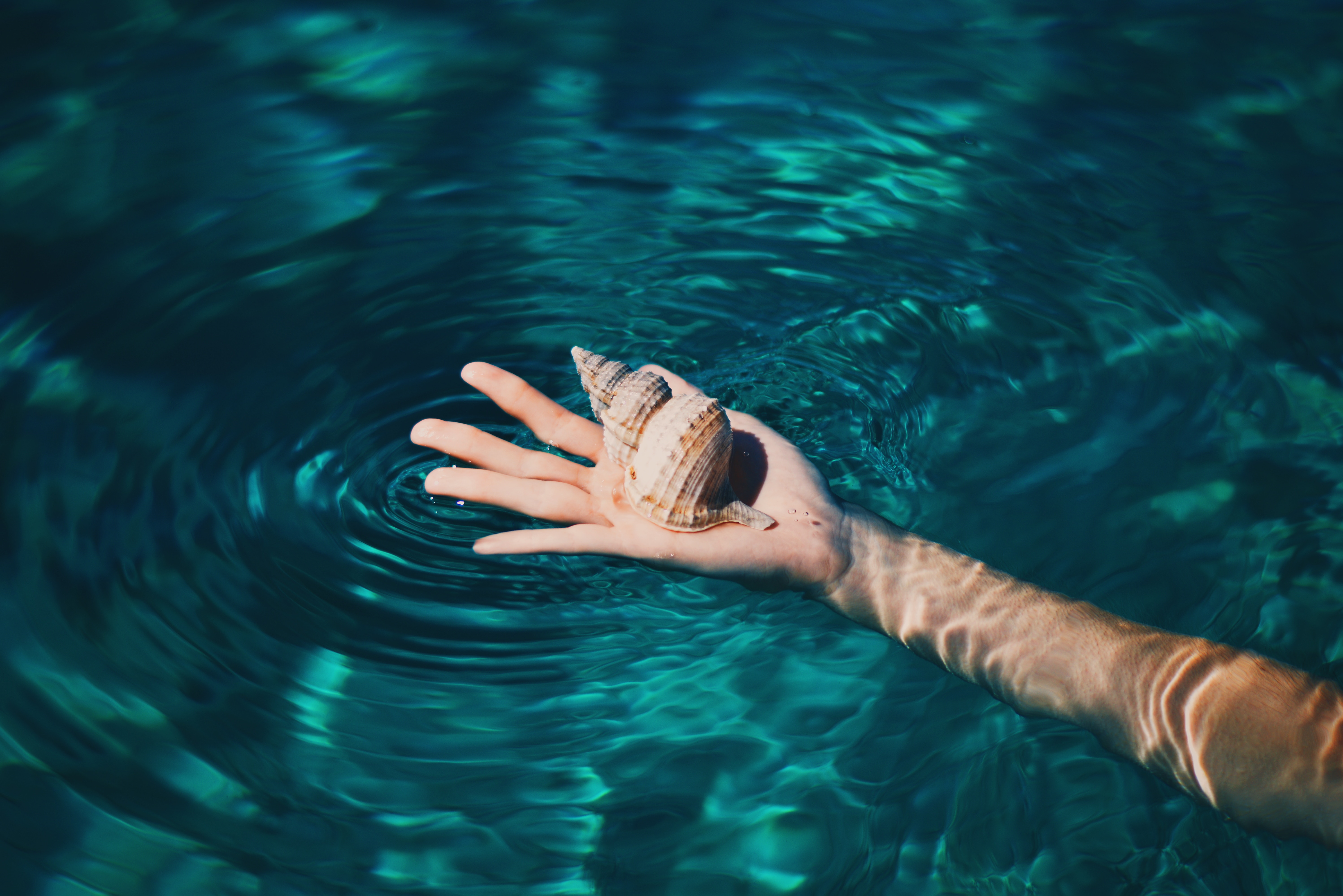 Photography Water Hands Fingers Seashell 5991x4000