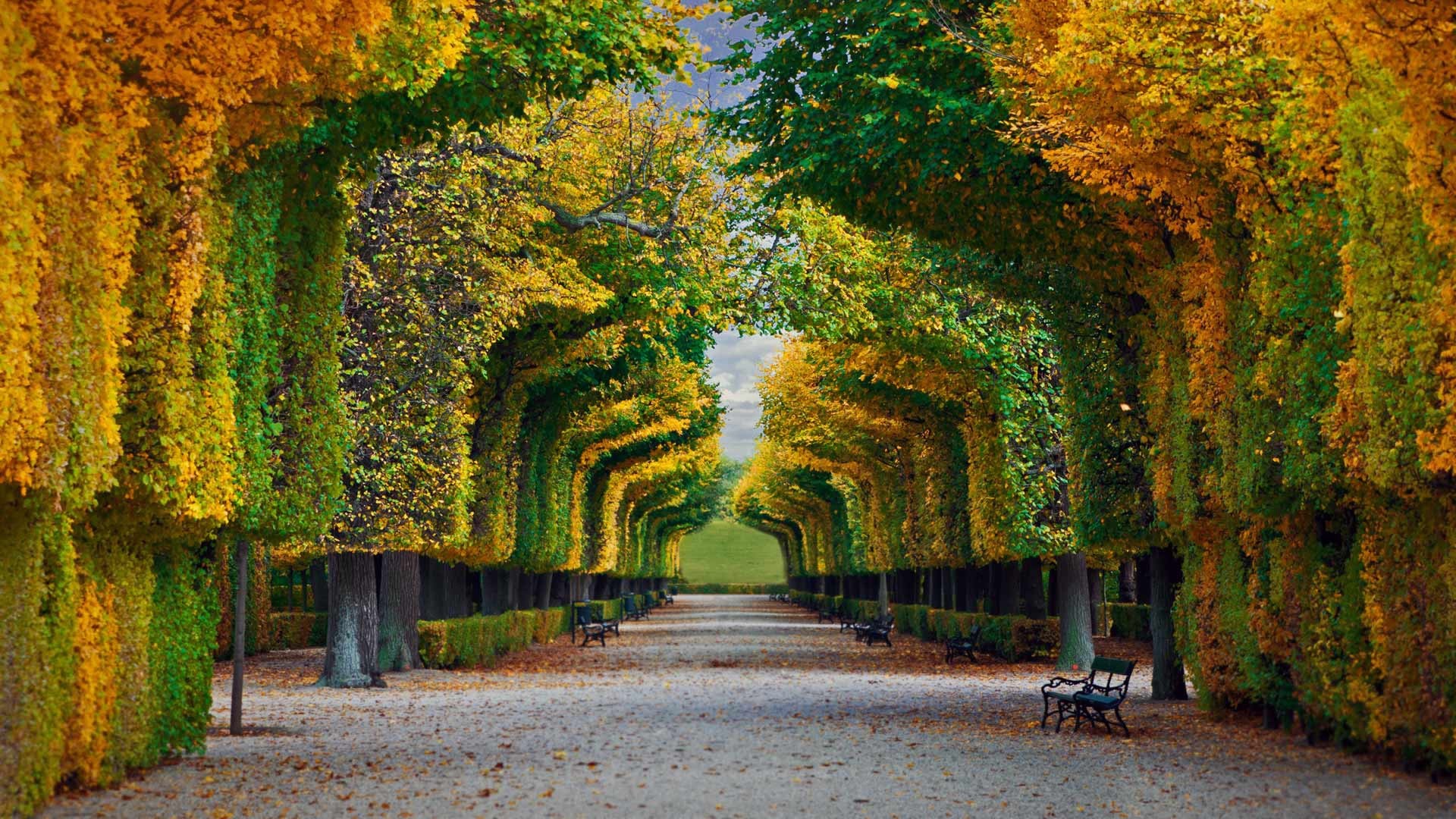Nature Landscape Trees Forest Fall Park Bench Leaves Vienna Austria Path 1920x1080