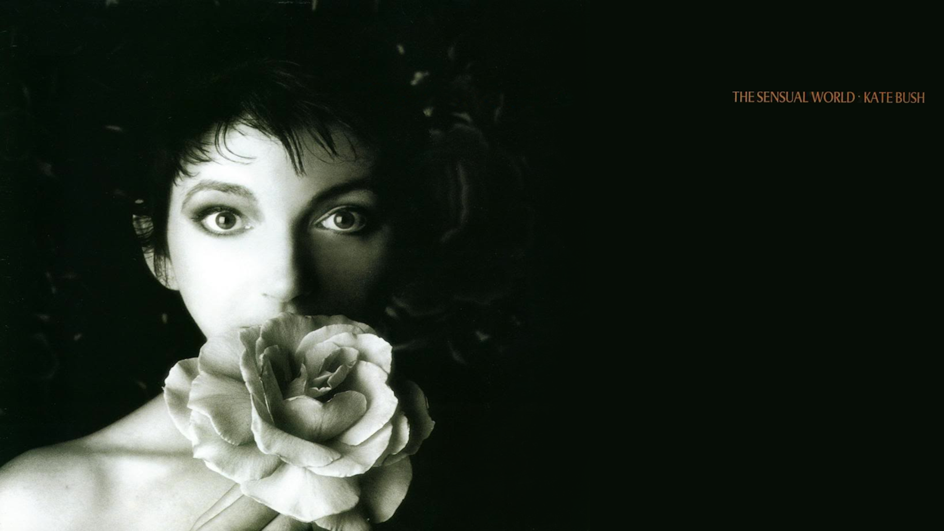 Music Kate Bush 1920x1080