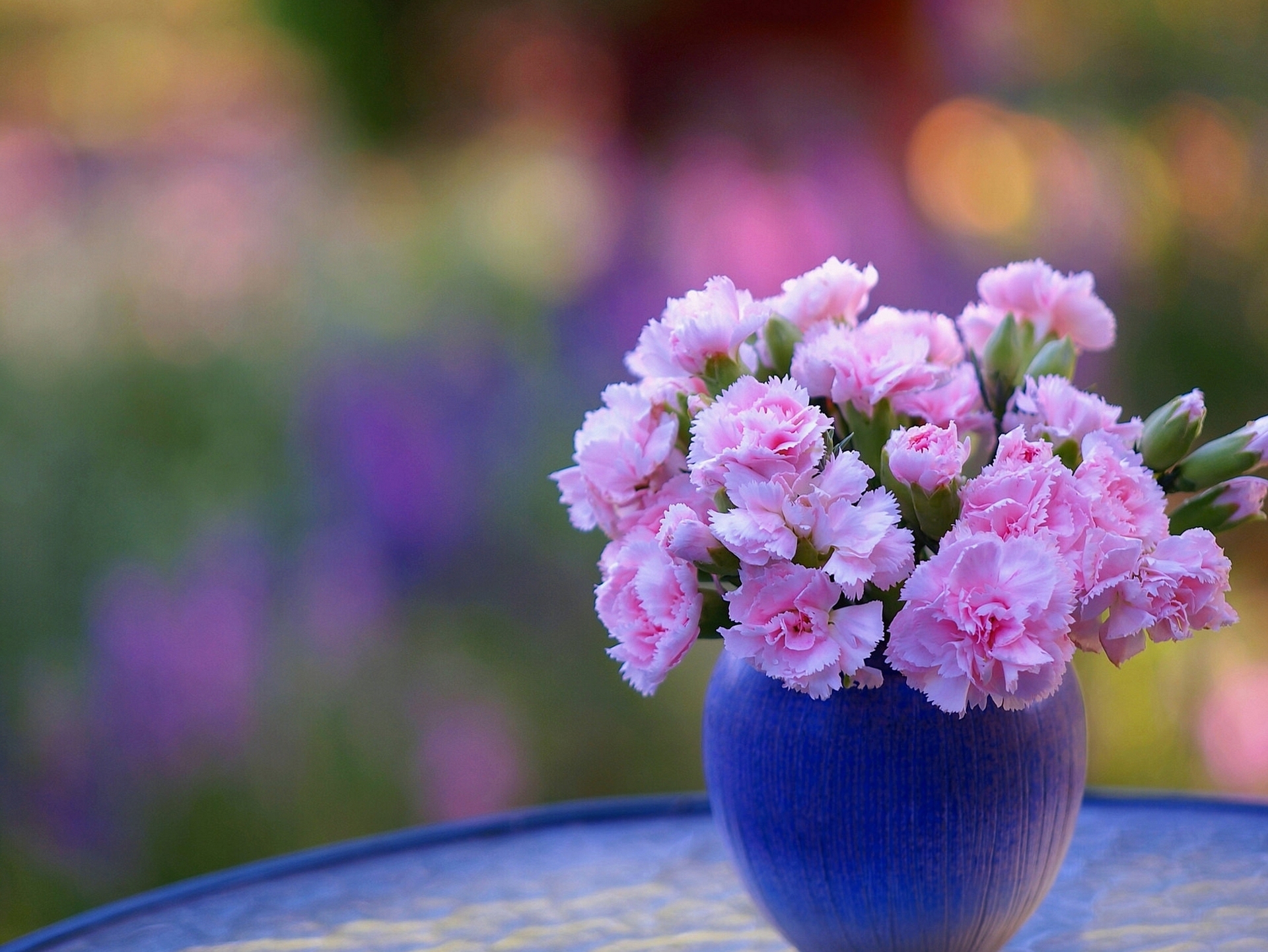 Flower Pink Flower Bokeh Vase Carnation 1920x1441