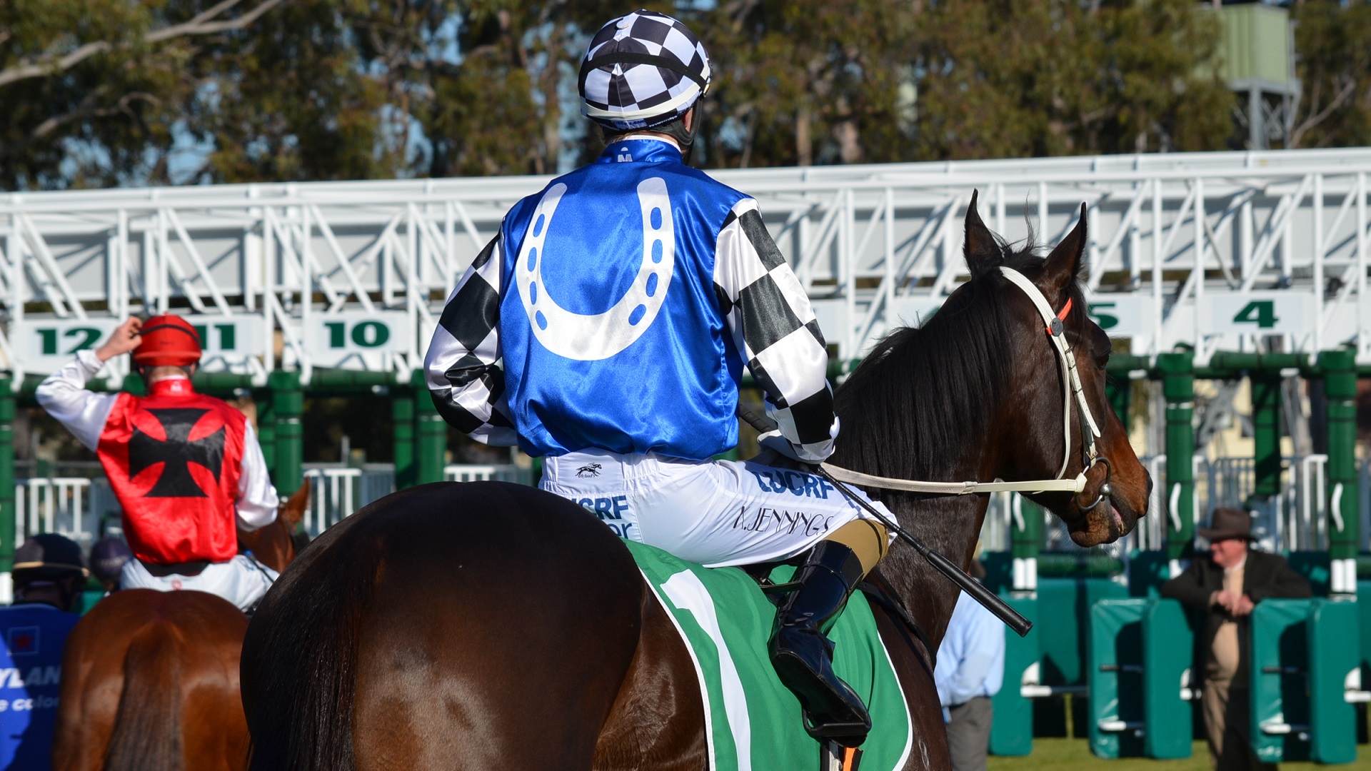 Horse Animal Jockey Race Races Sydney Horse Racing 1920x1080