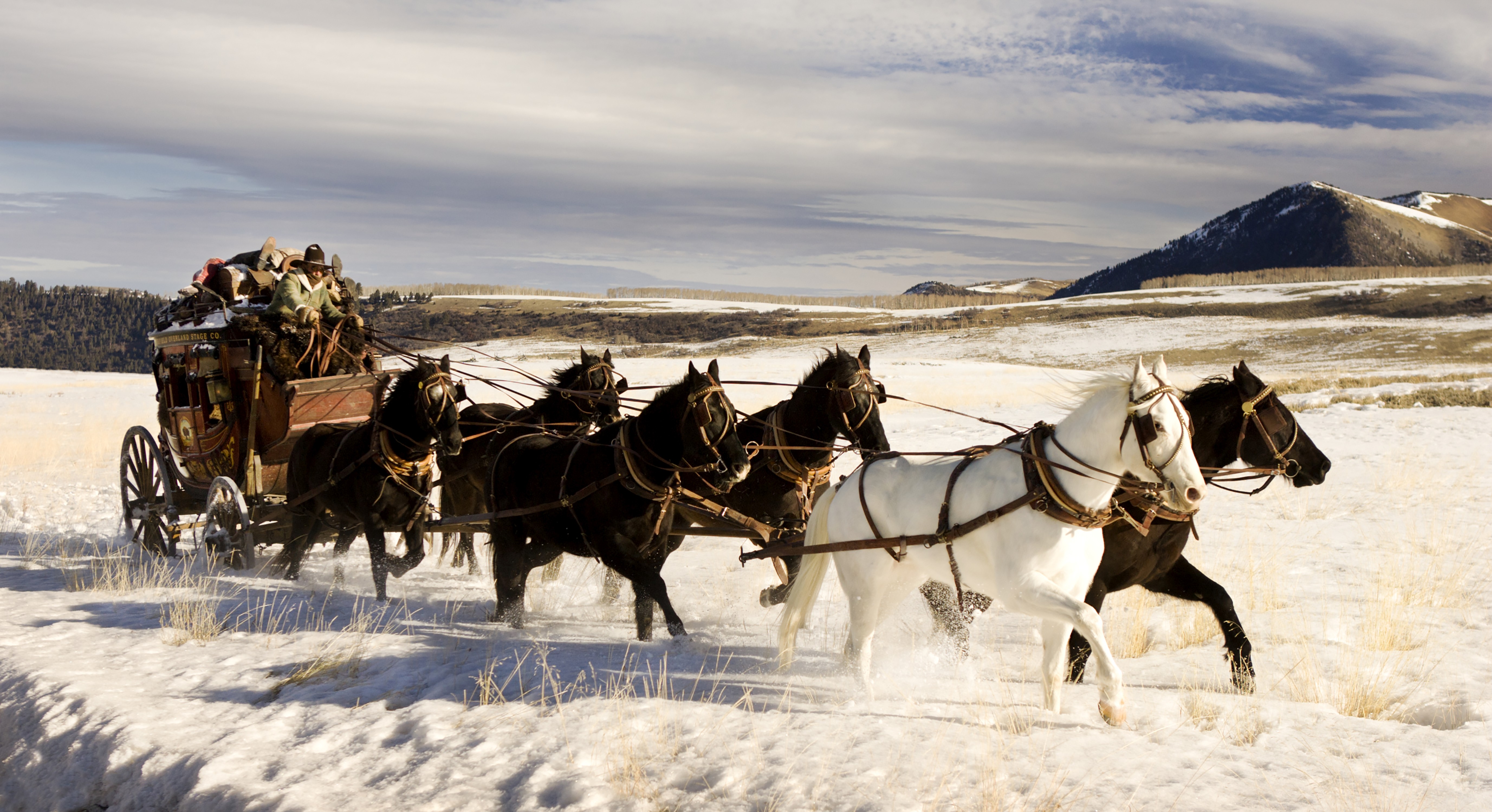 The Hateful Eight Horse 5508x3000
