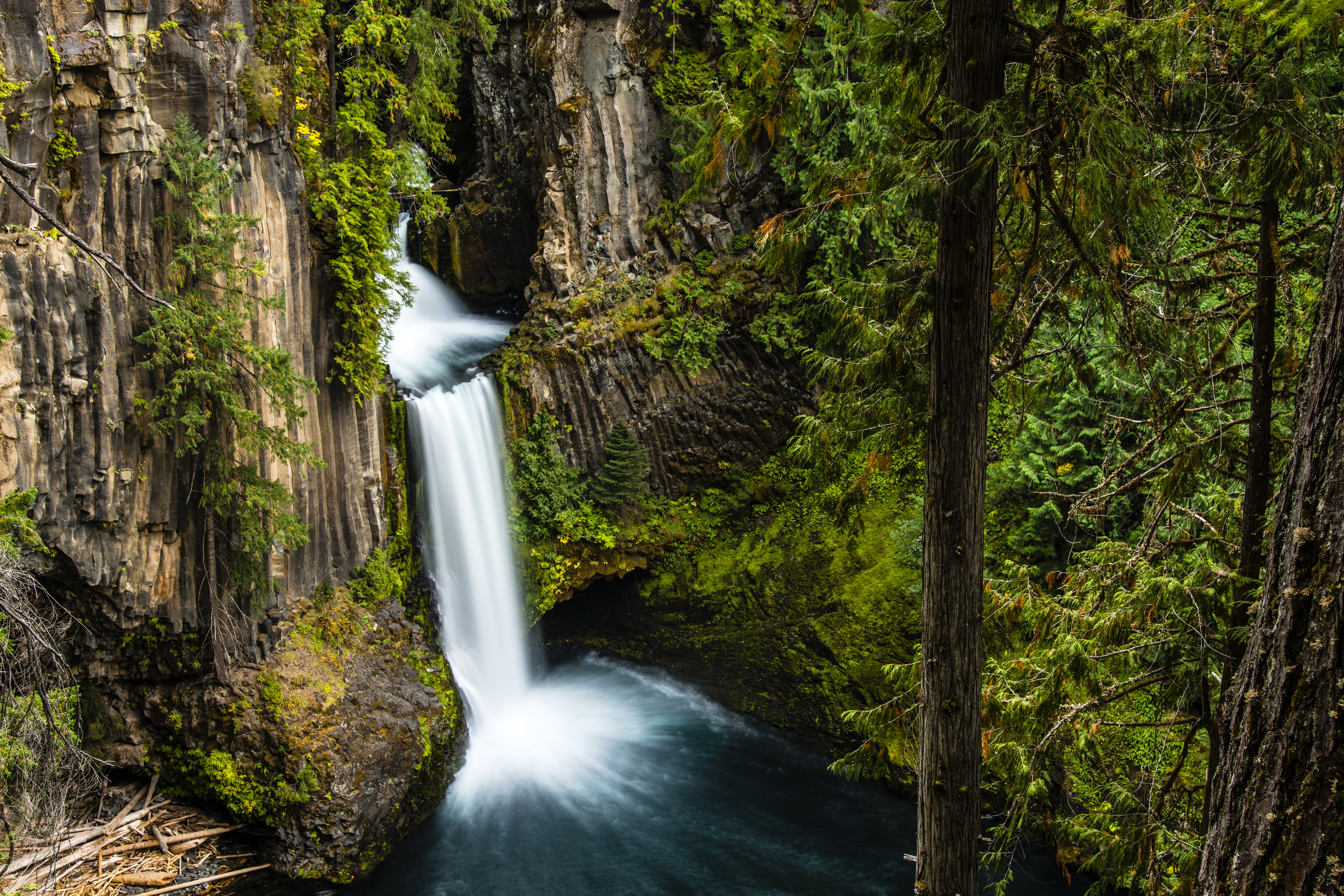 Earth Waterfall Oregon Toketee Falls Forest Green Rock Tree 5616x3748