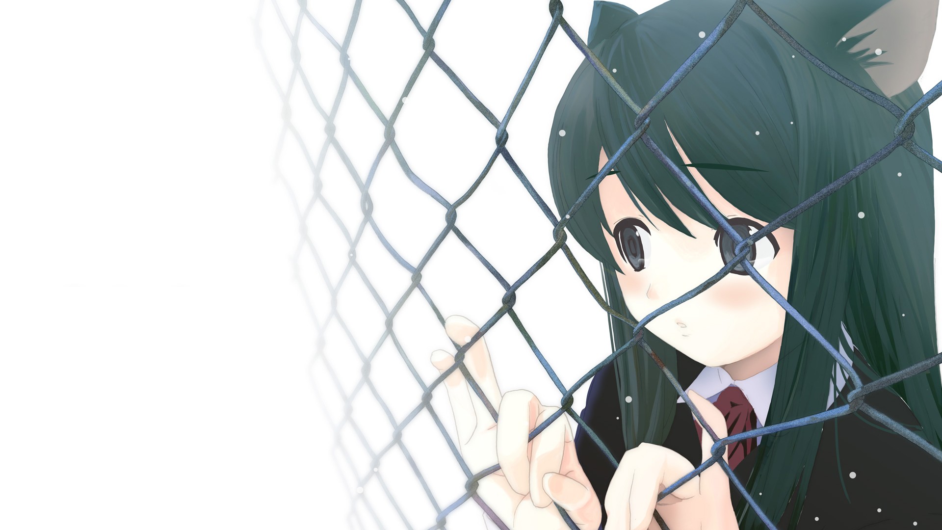 Cat Girl Nekomimi Anime Original Characters Chain Link Fence Animal Ears Anime Girls Open Mouth Long 1920x1080