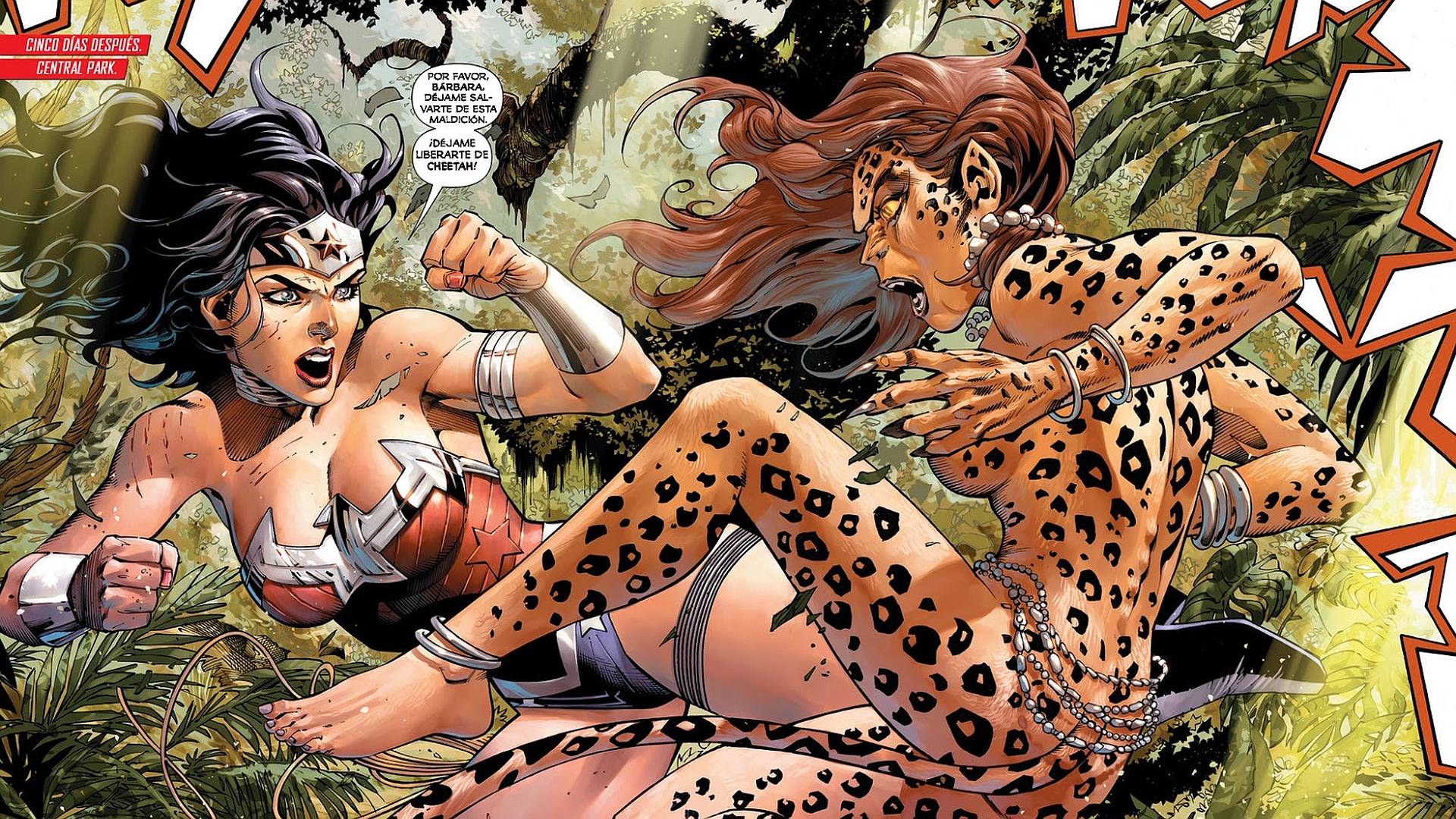 Wonder Woman Cheetah DC Comics 1920x1080