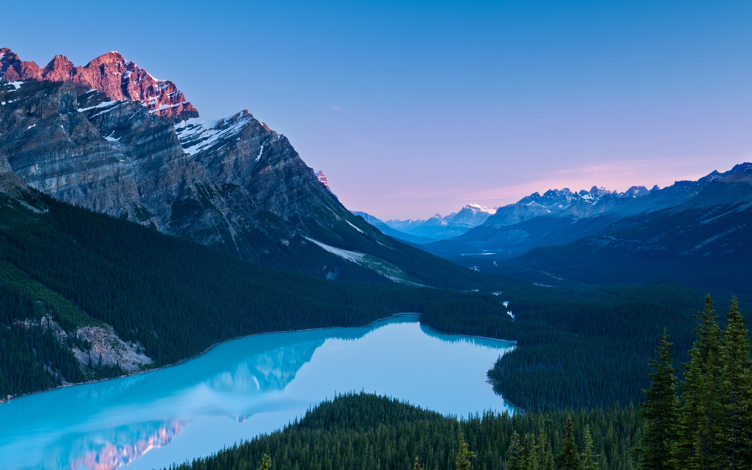 Landscape Canada Mountains Nature Lake Forest Banff National Park Peyto Lake 2560x1600