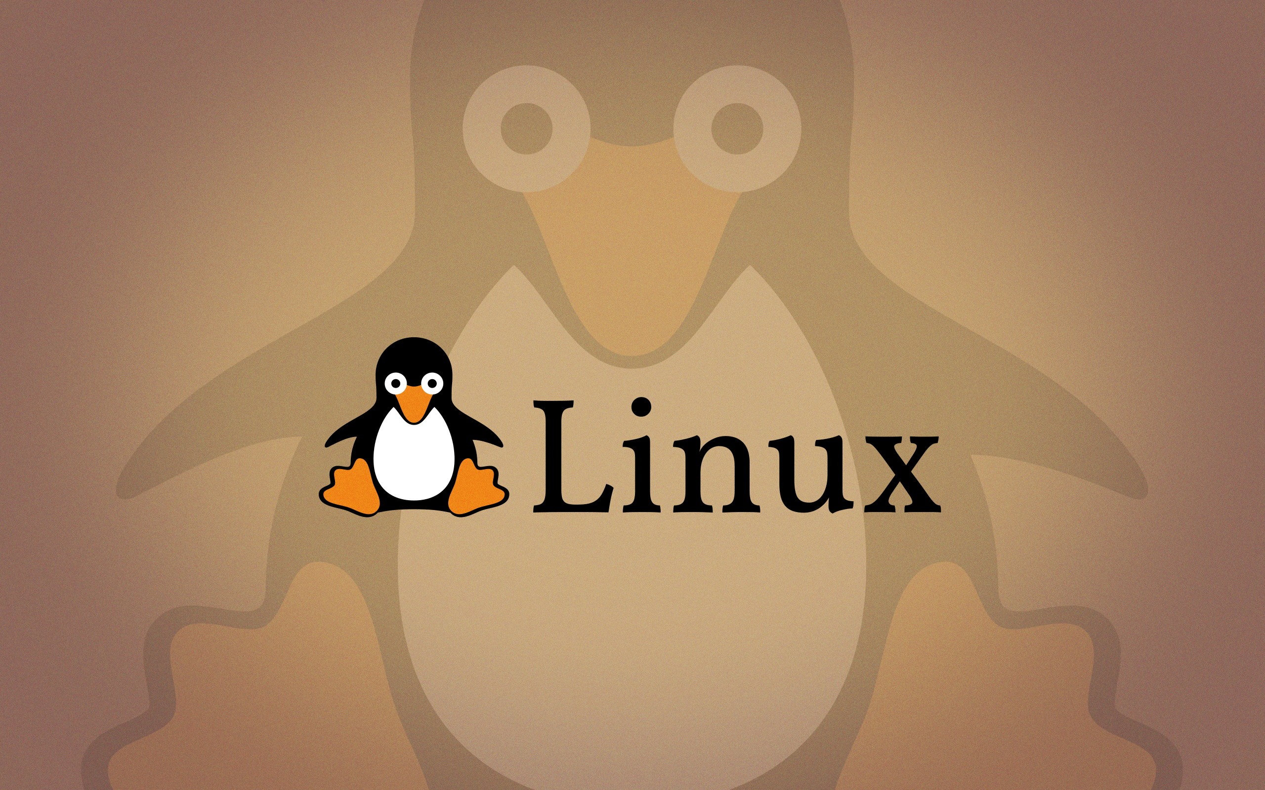 Linux Tux Penguins Open Source Logo 2560x1600