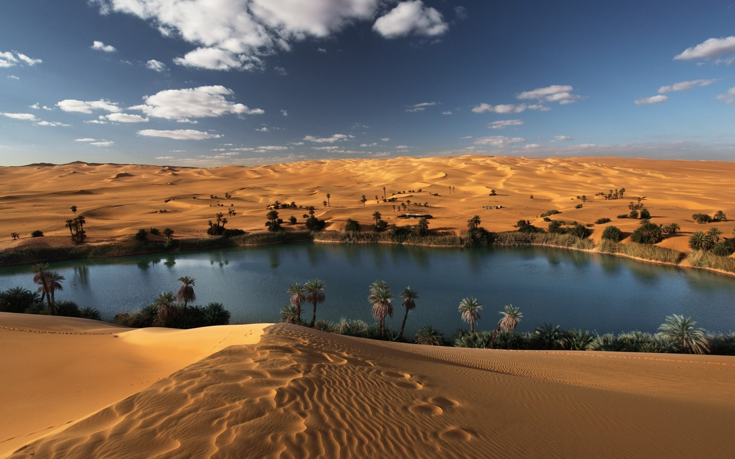 Oasis Landscape Water Lake Sand Desert Nature Sahara 2560x1600