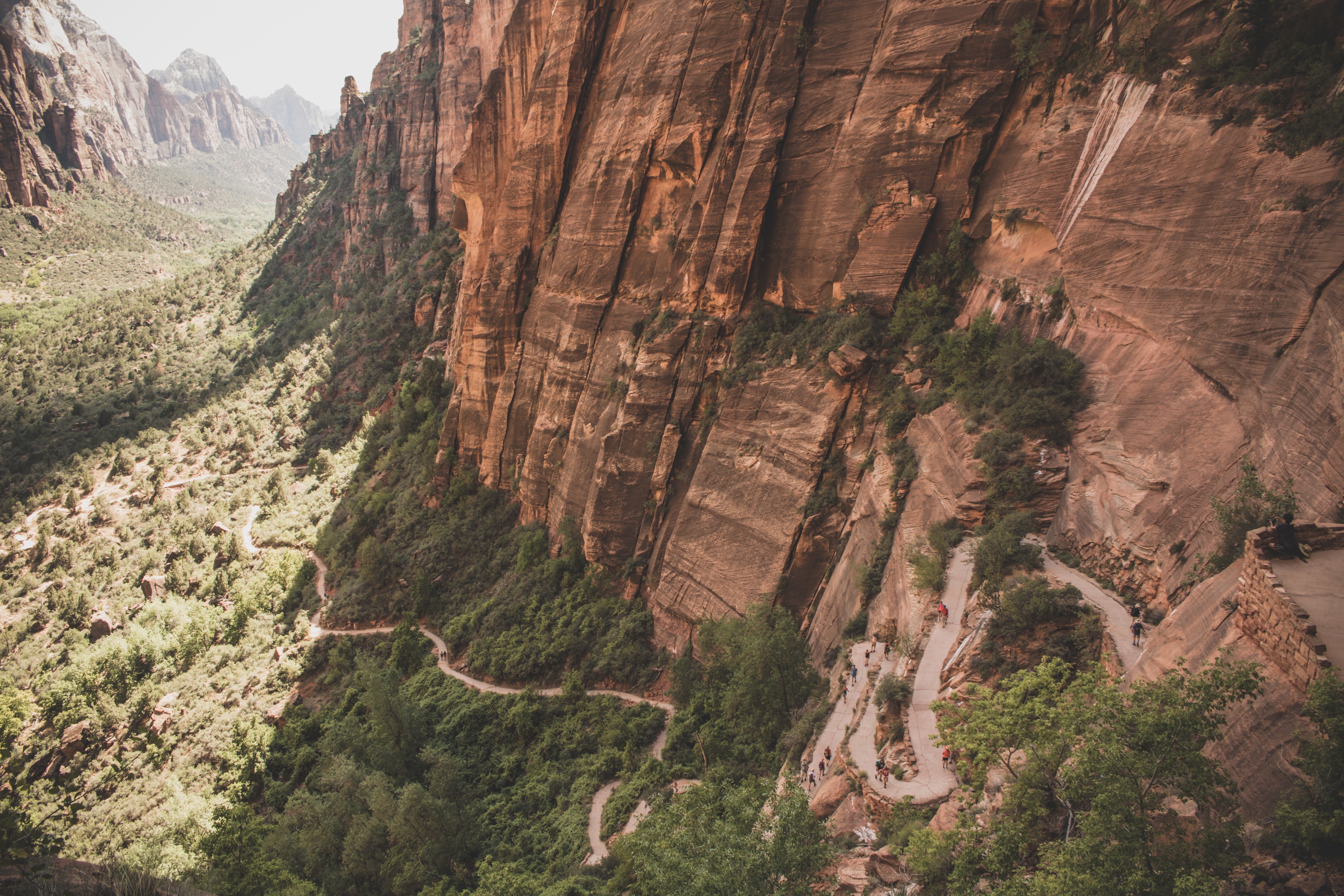 Nature Trees Zion National Park Landscape 6000x4000