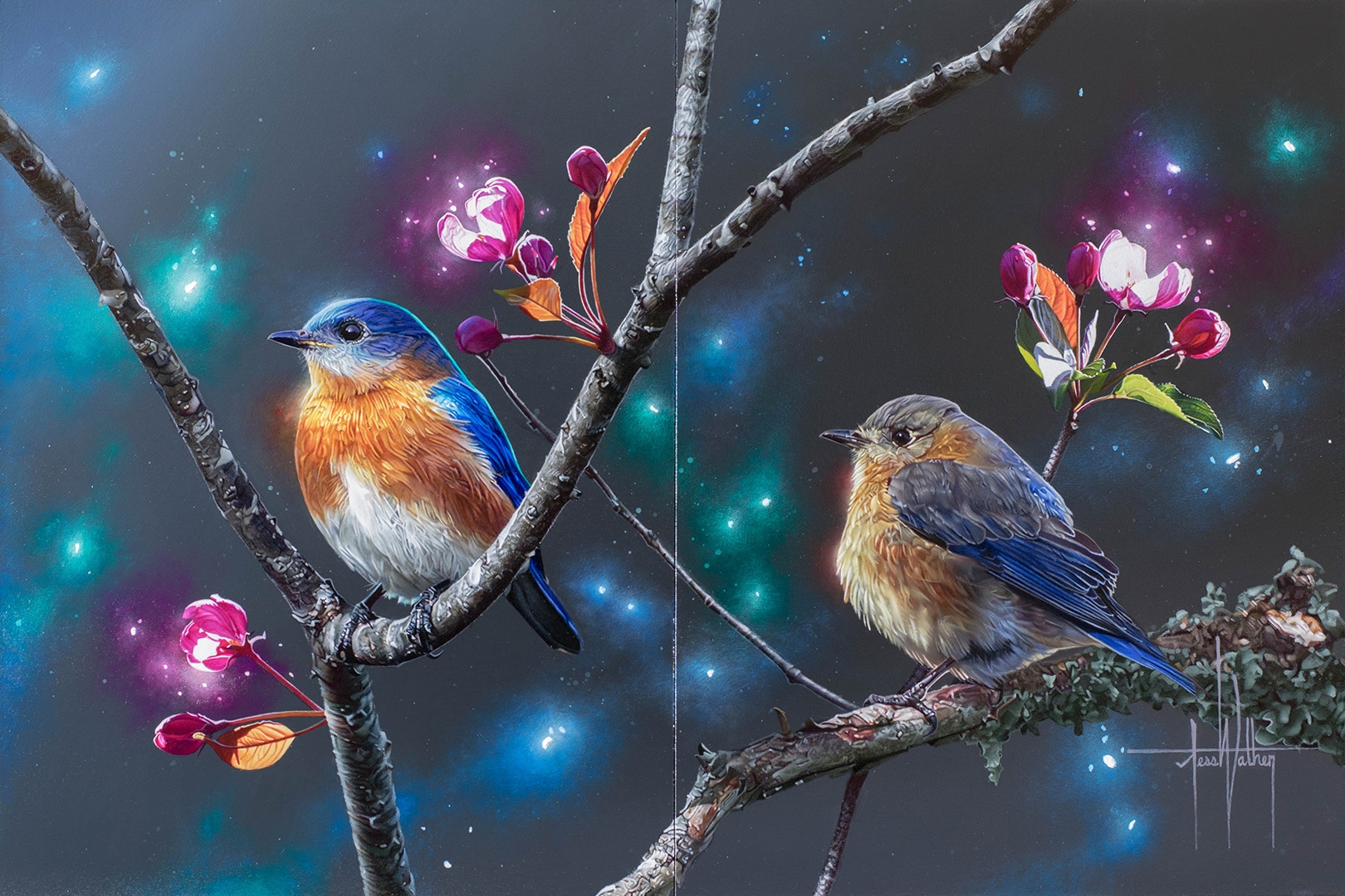 Artistic Animal Bird Eastern Bluebird Bluebird Tree Sparkles 1620x1080