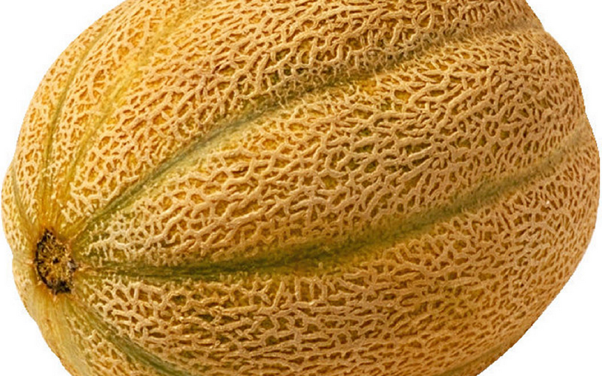 Food Melon 1920x1200