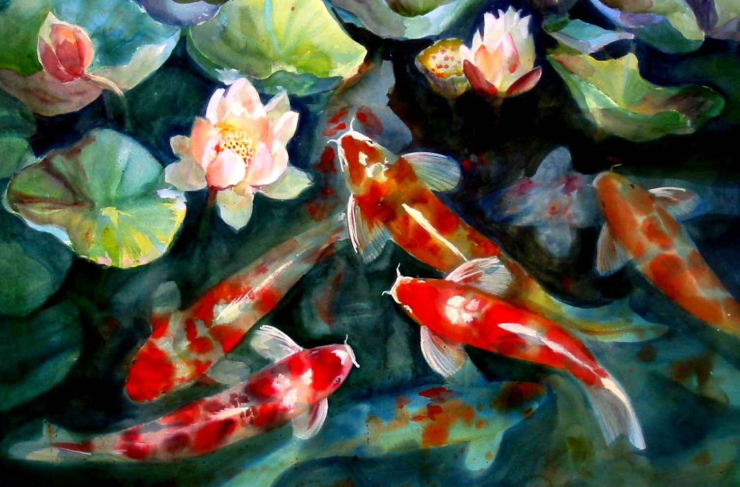 Animal Koi 1504x991