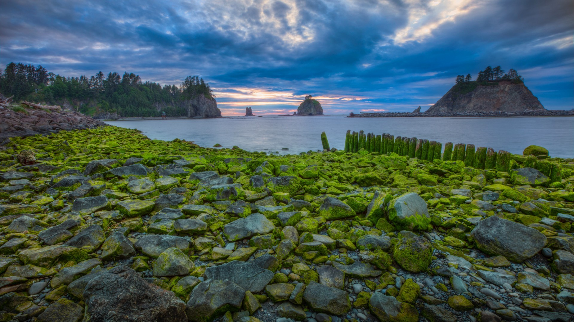 Nature Landscape Water Trees Clouds USA Rock Stones Moss Forest Sea Sunset Morning Olympic National  1920x1080