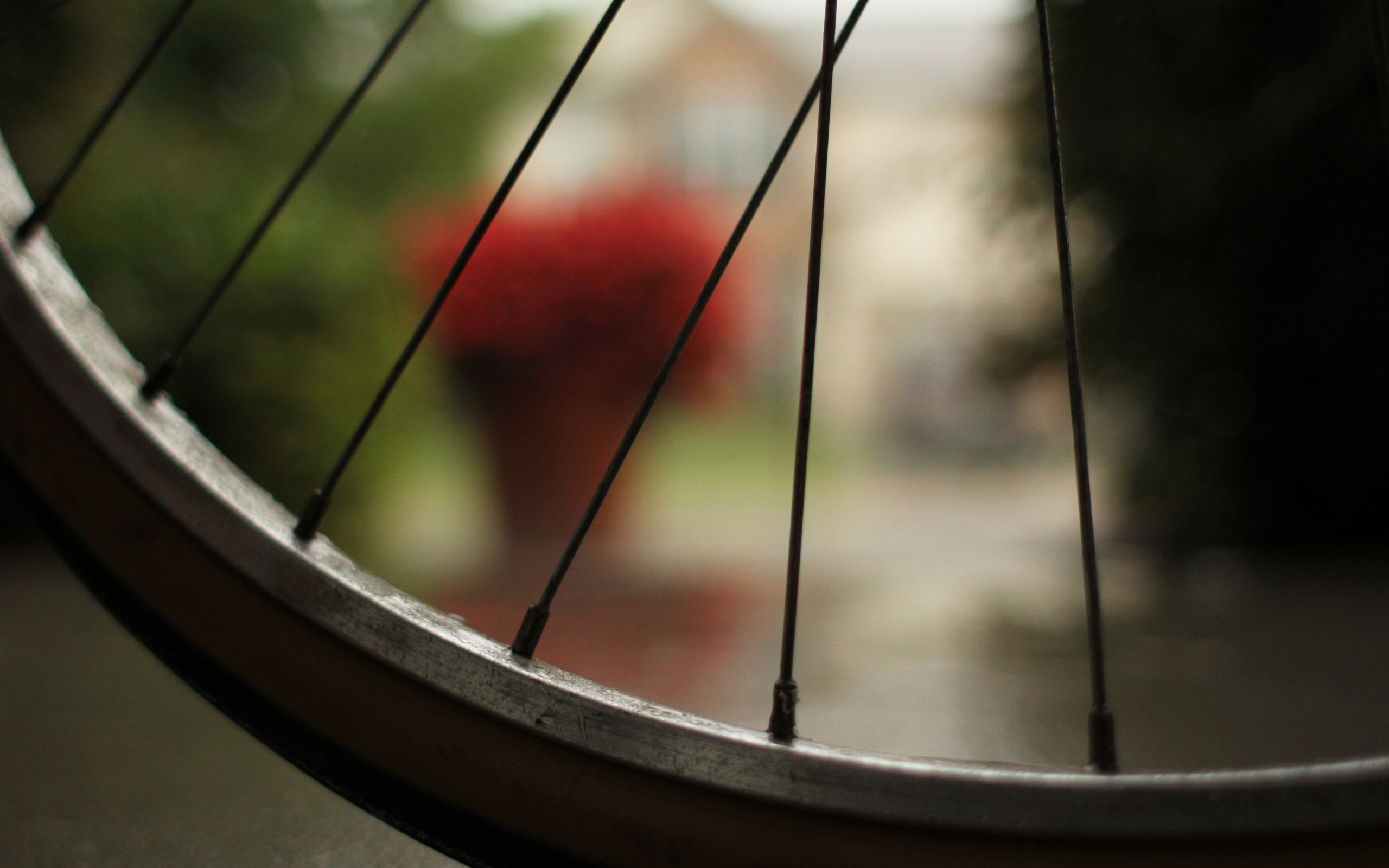 Bicycle Tired Outdoors Macro 2560x1600