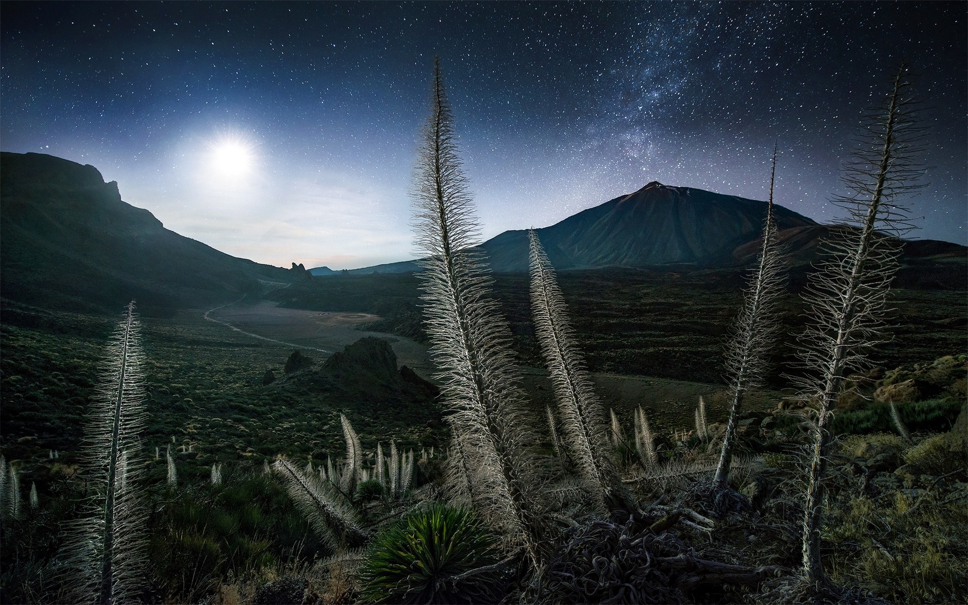 Landscape Nature Mountains Starry Night Moonlight Shrubs Milky Way Spain Tenerife Max Rive 1920x1200