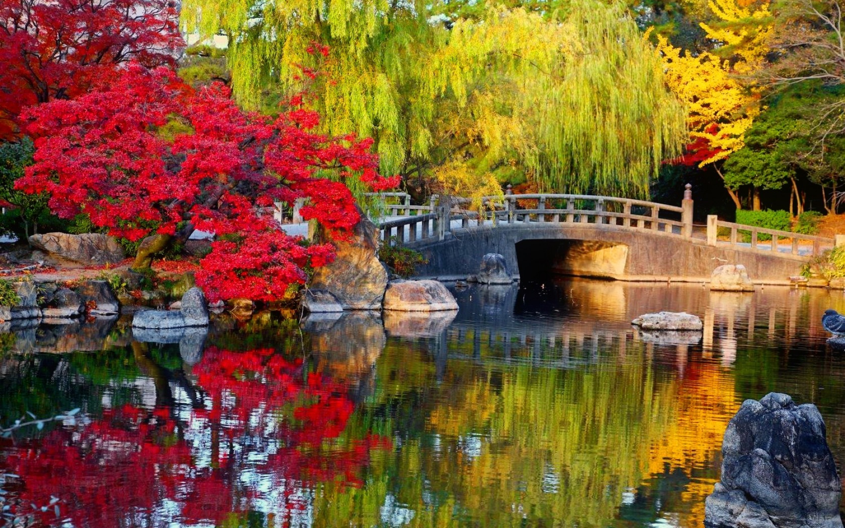 Japanese Garden Bridge Tree Fall Colors Reflection 1680x1050