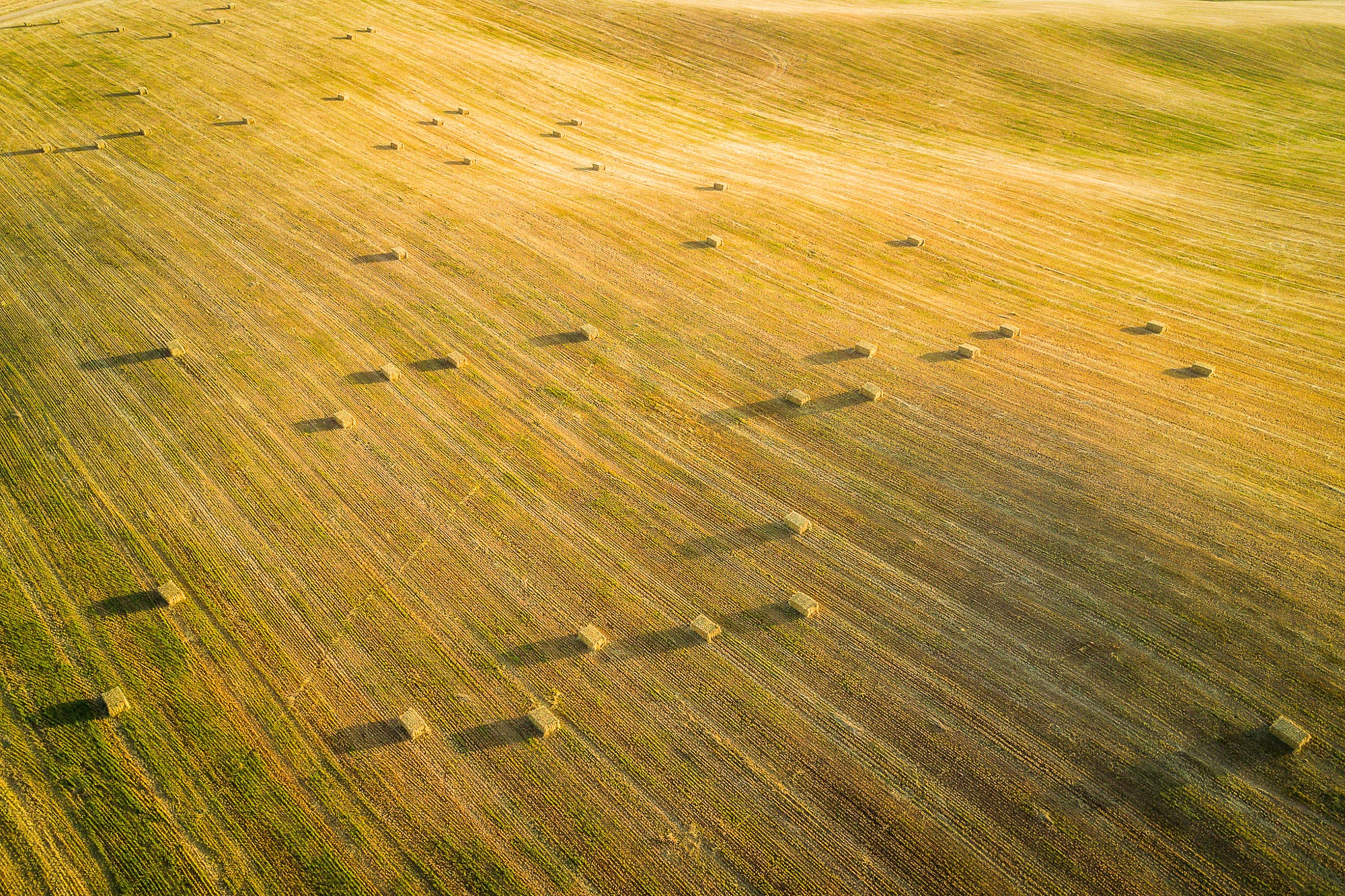 Yellow Field Landscape Sunlight Shadow Haystacks Aerial View 2000x1333