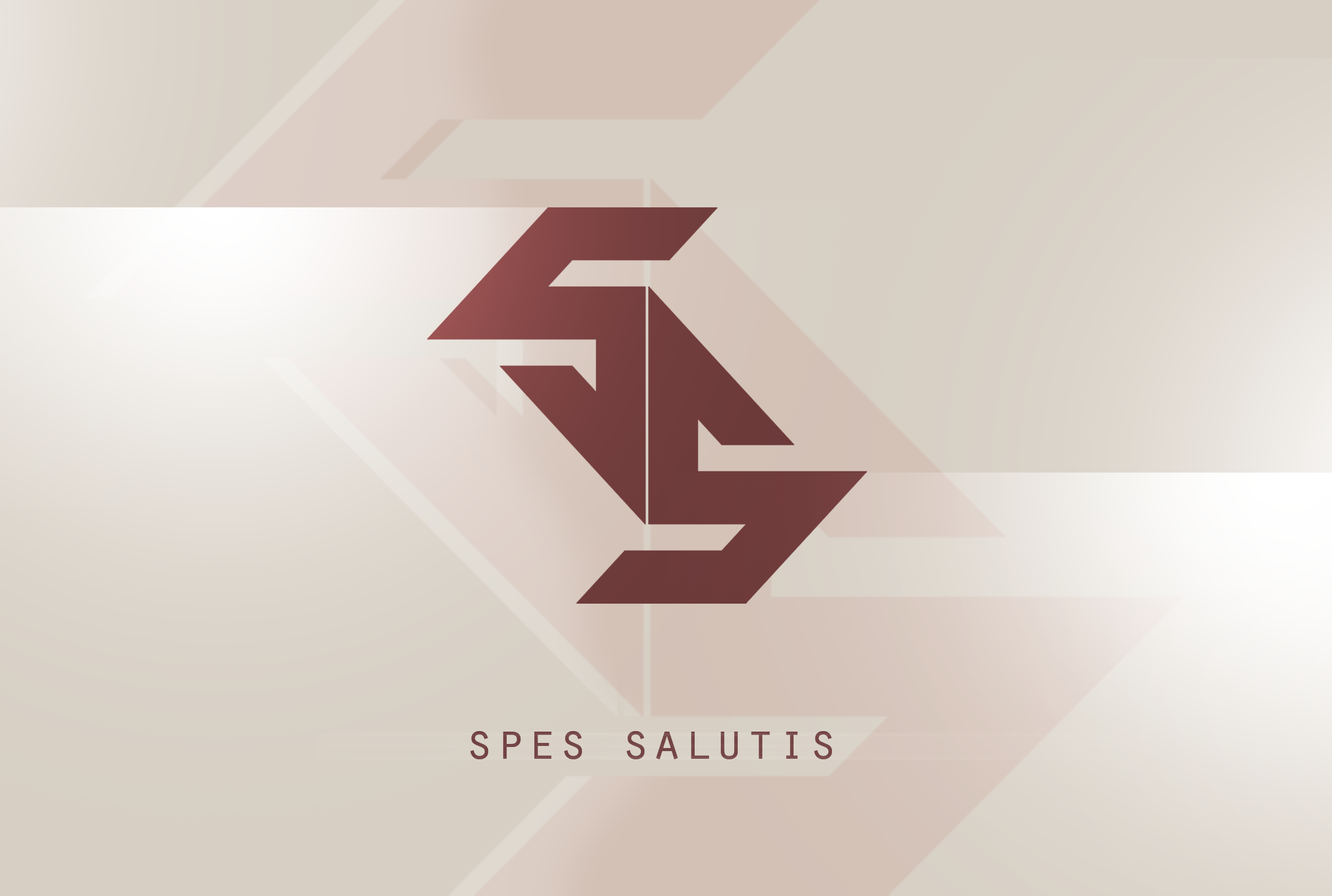 Spes Salutis Counter Strike Global Offensive CS GO Team 2600x1750