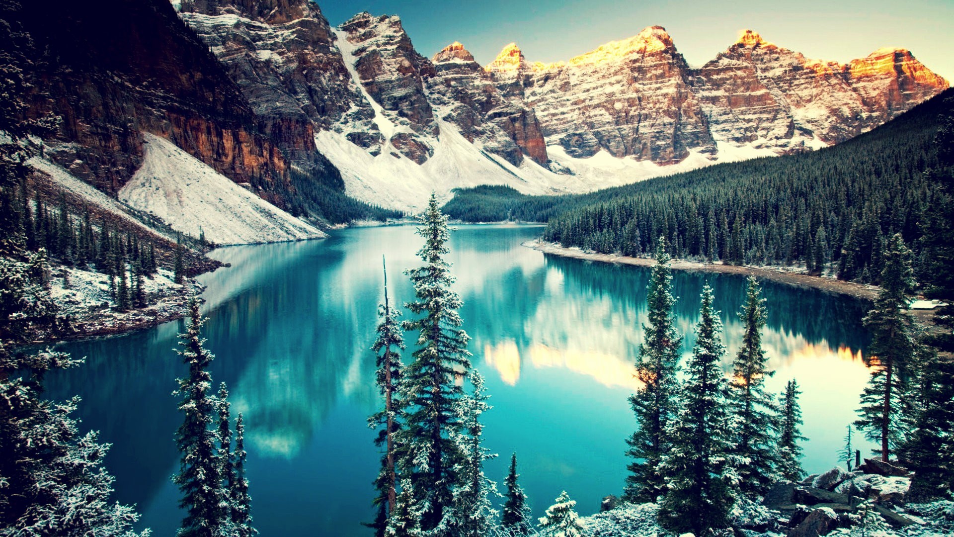Lake Forest Moraine Lake Mountains Canada Pine Trees Banff National Park Valley Nature Trees Reflect 1920x1080