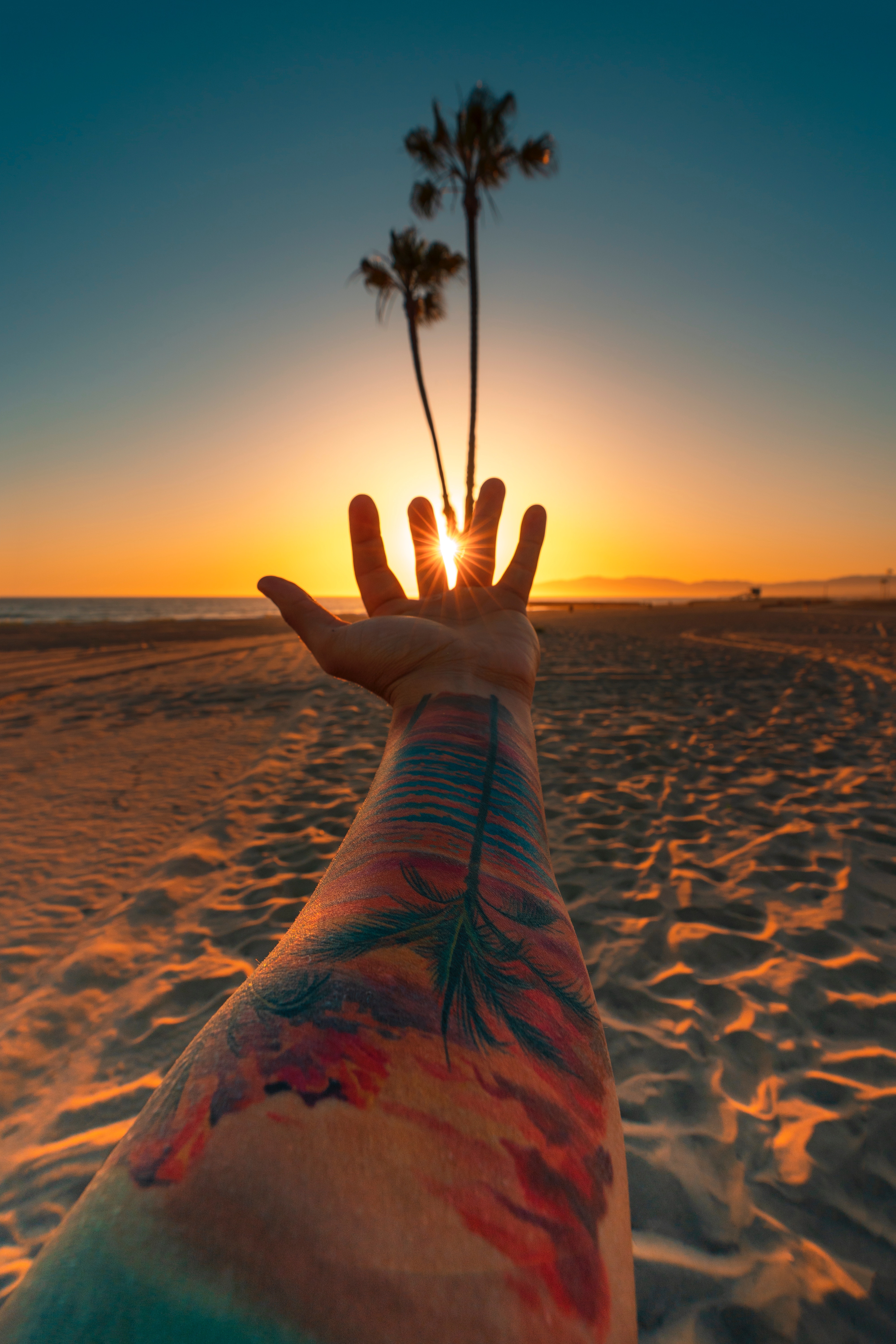 Beach Sunset Tattoo Palm Trees Sand Flares Sunlight Los Angeles USA 4000x6000
