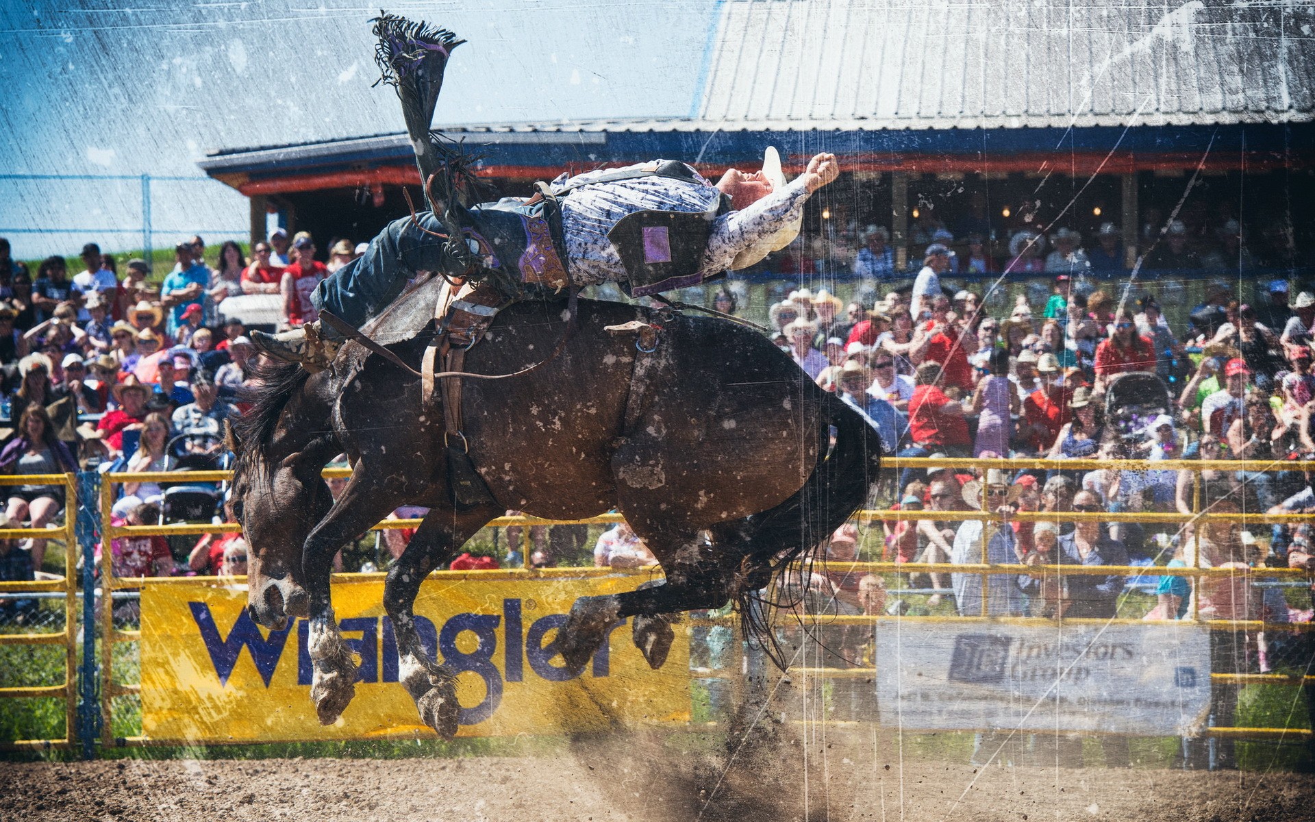 Rodeos Horse Men Animals Sand Dirt Grunge Crowds 1920x1200