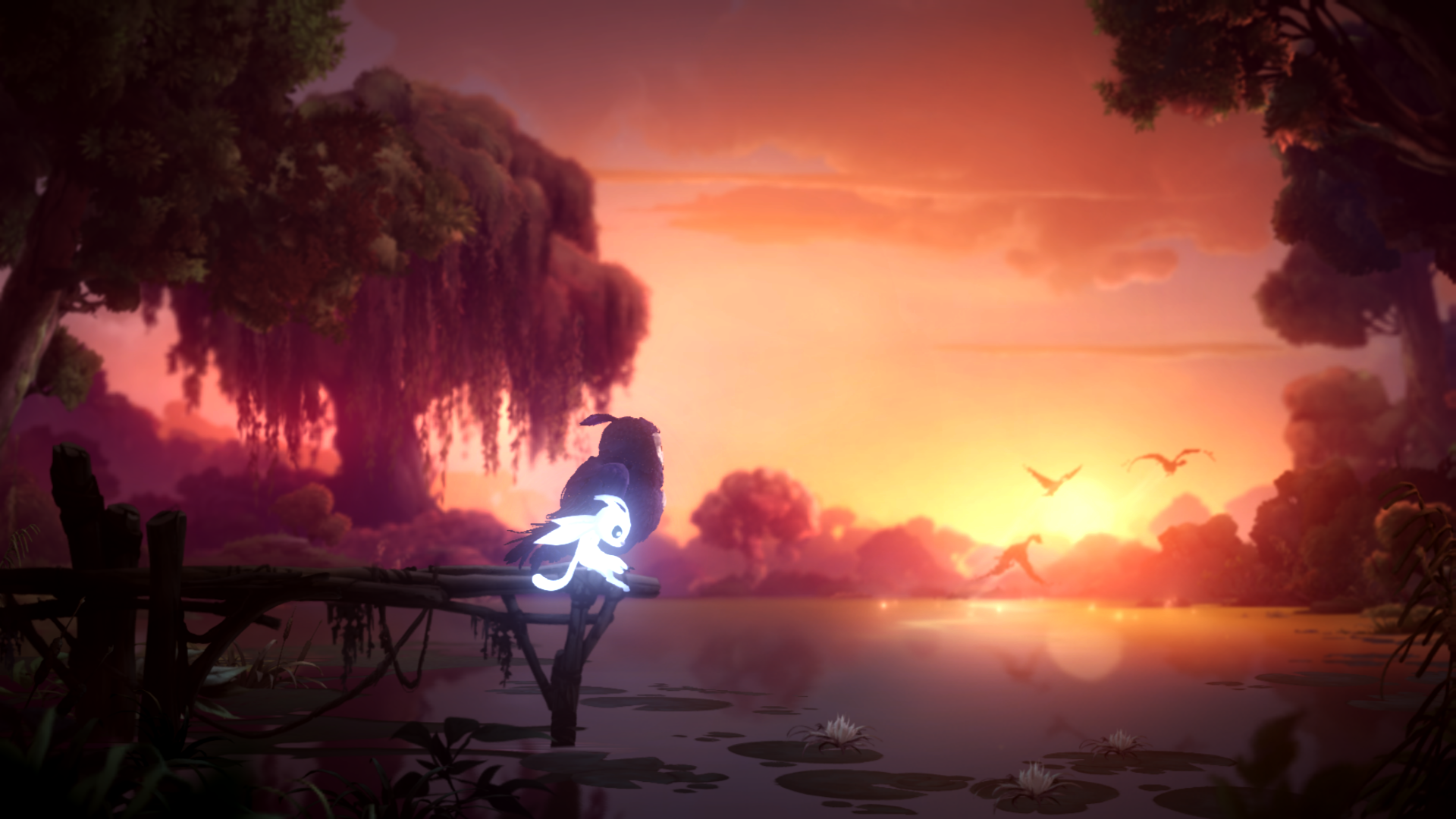 Ori Ori And The Will Of The Wisps Video Games 1920x1080