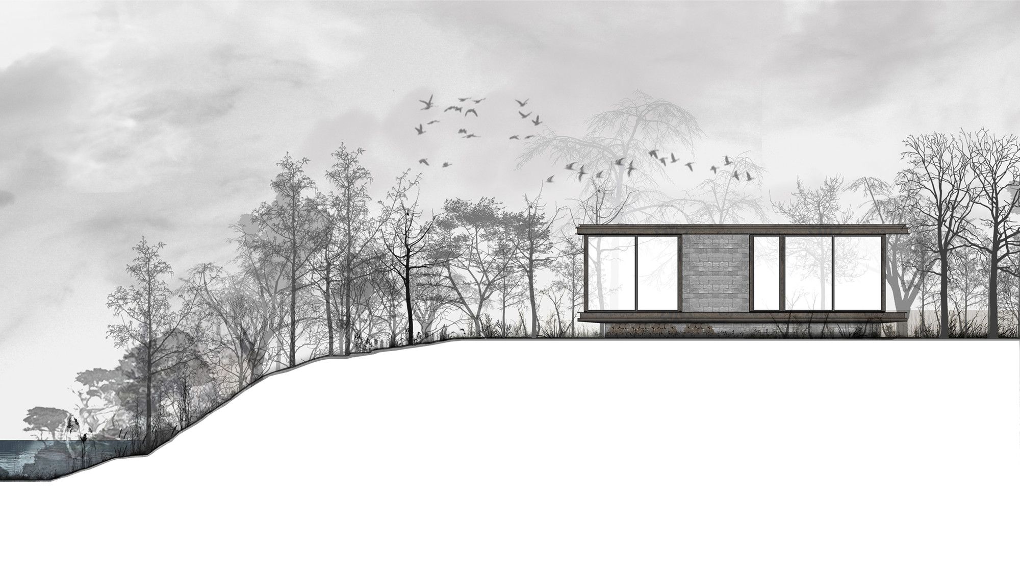 Modern Architecture Building House Conceptual Winter Trees Forest Birds Hill Monochrome Water Clouds 2000x1117