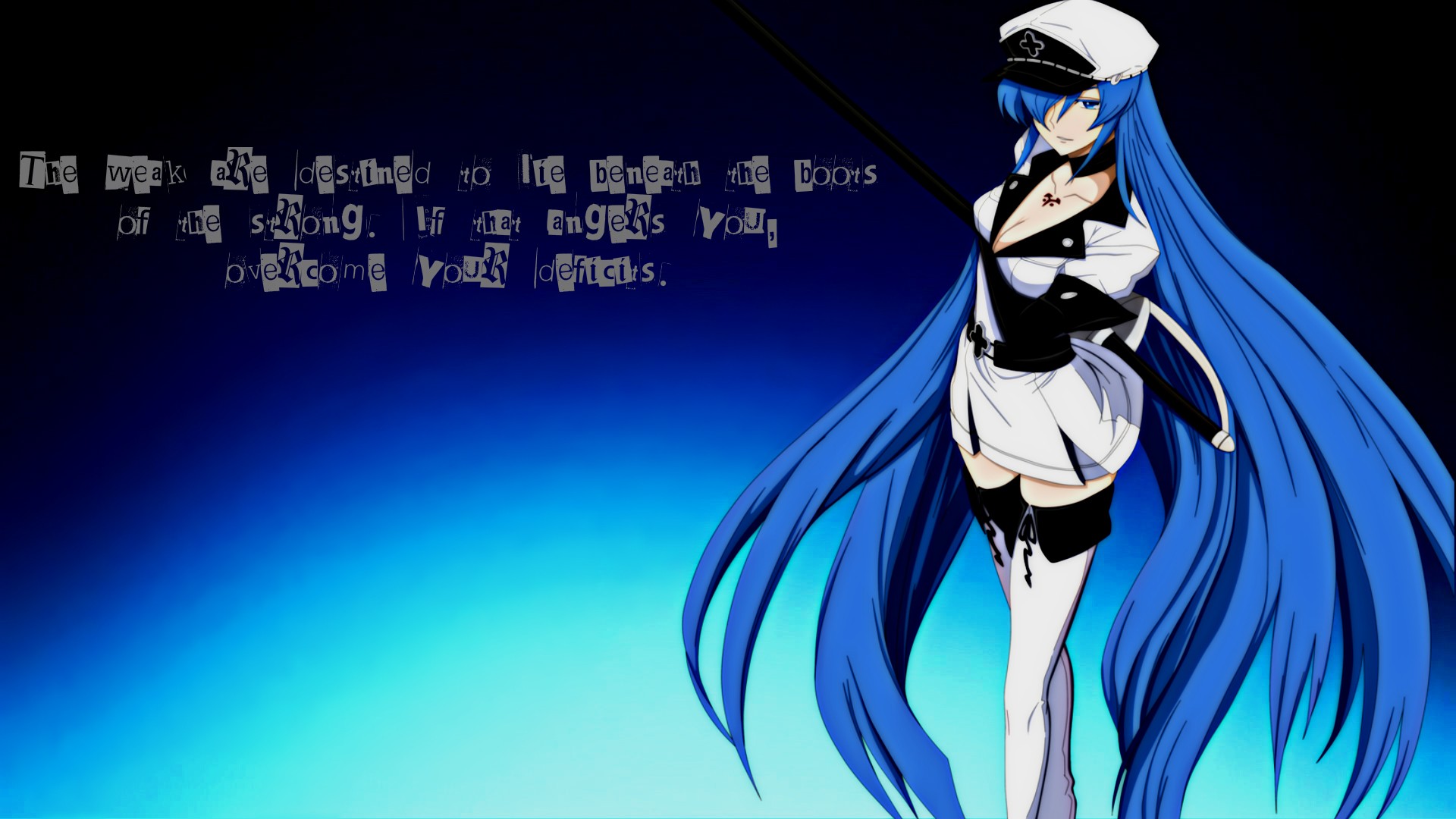 Blue Anime Girls Anime Akame Ga Kill Esdeath 1920x1080