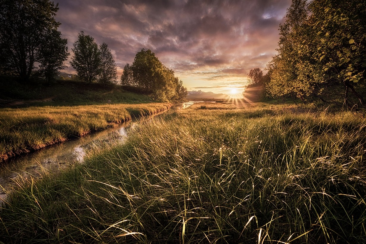 Landscape Nature Summer Midnight Sun Rays Trees Grass Sunset Sky Clouds River Norway 1230x820