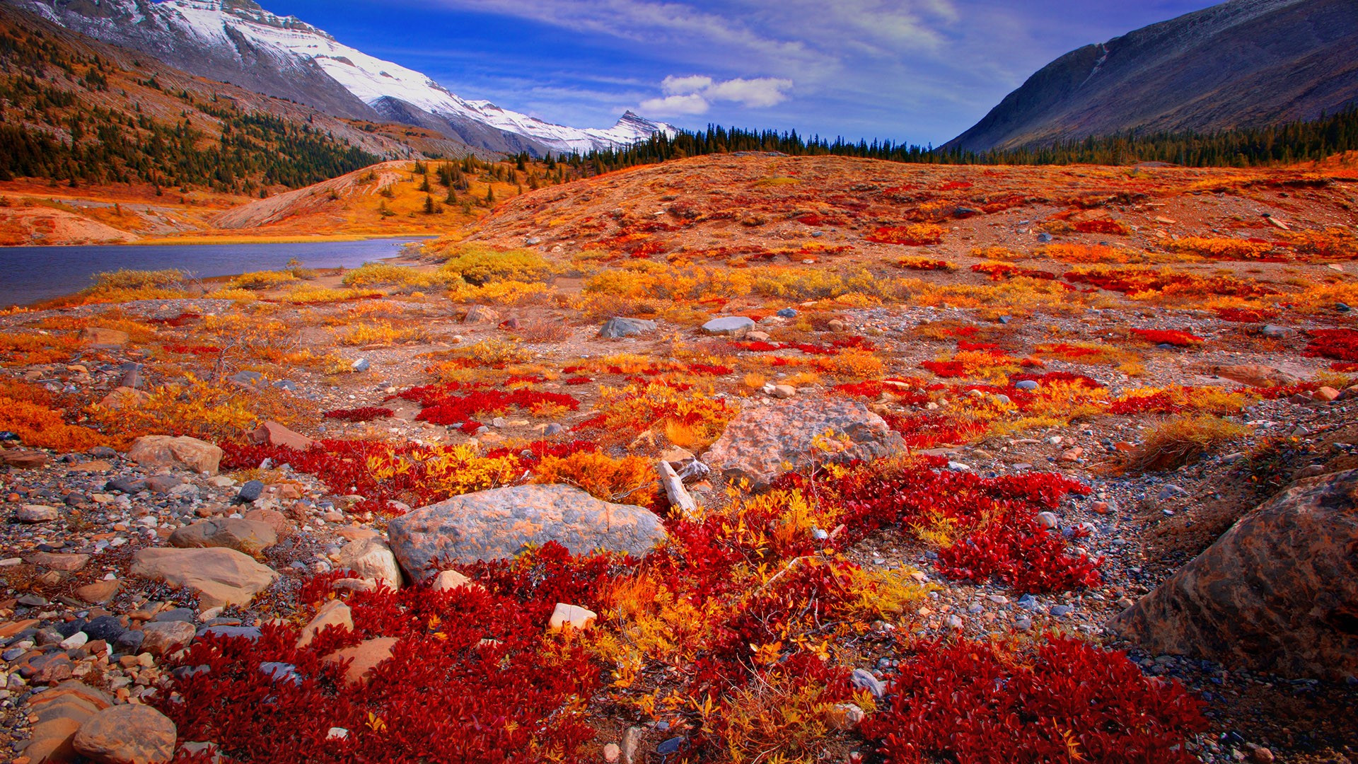 Nature Landscape Mountains Rocks Plants Sky Clouds Snowy Mountain River Valley Jasper National Park  1920x1080
