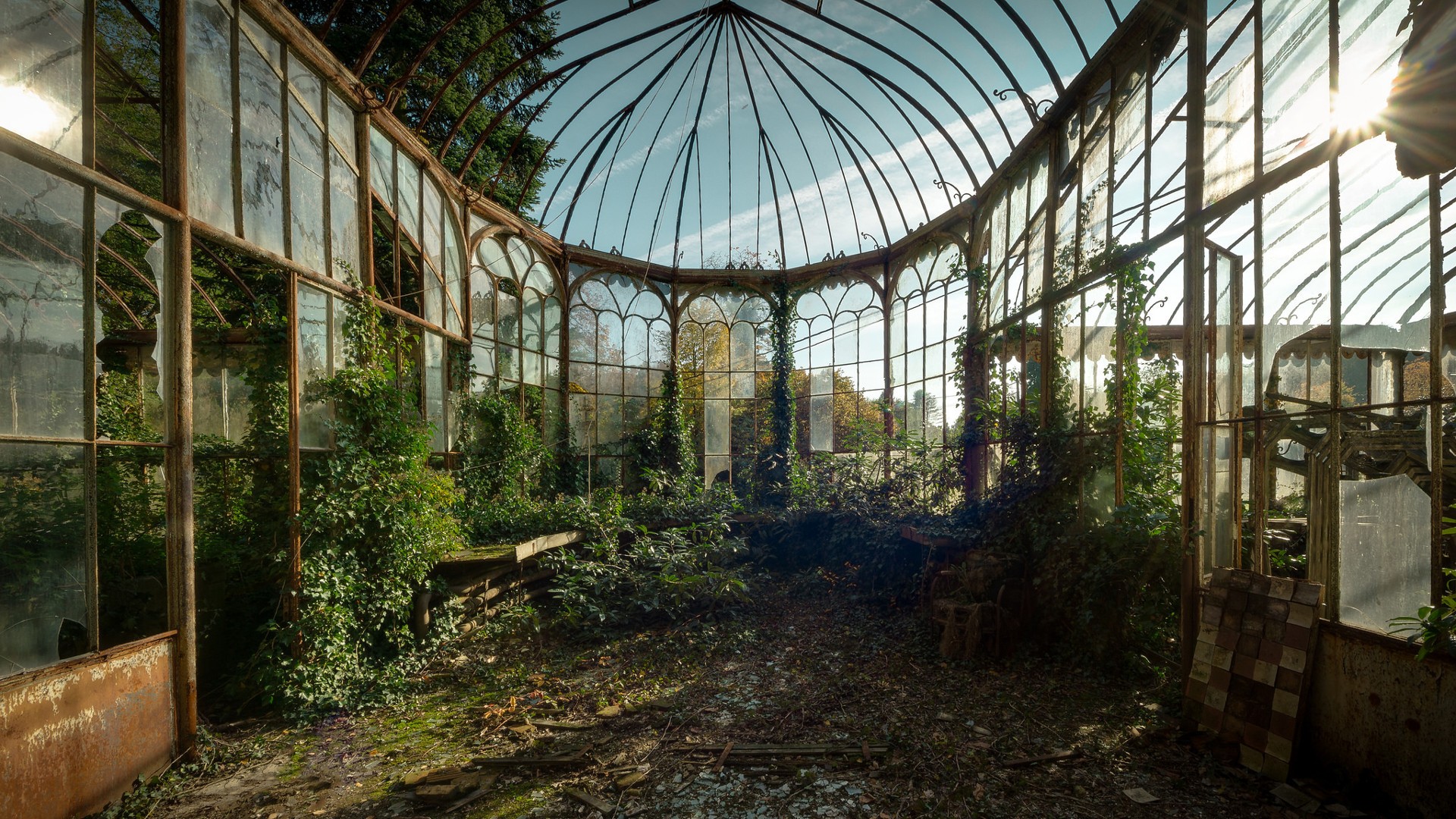 Abandoned Greenhouse Plants Indoors Ruins 1920x1080