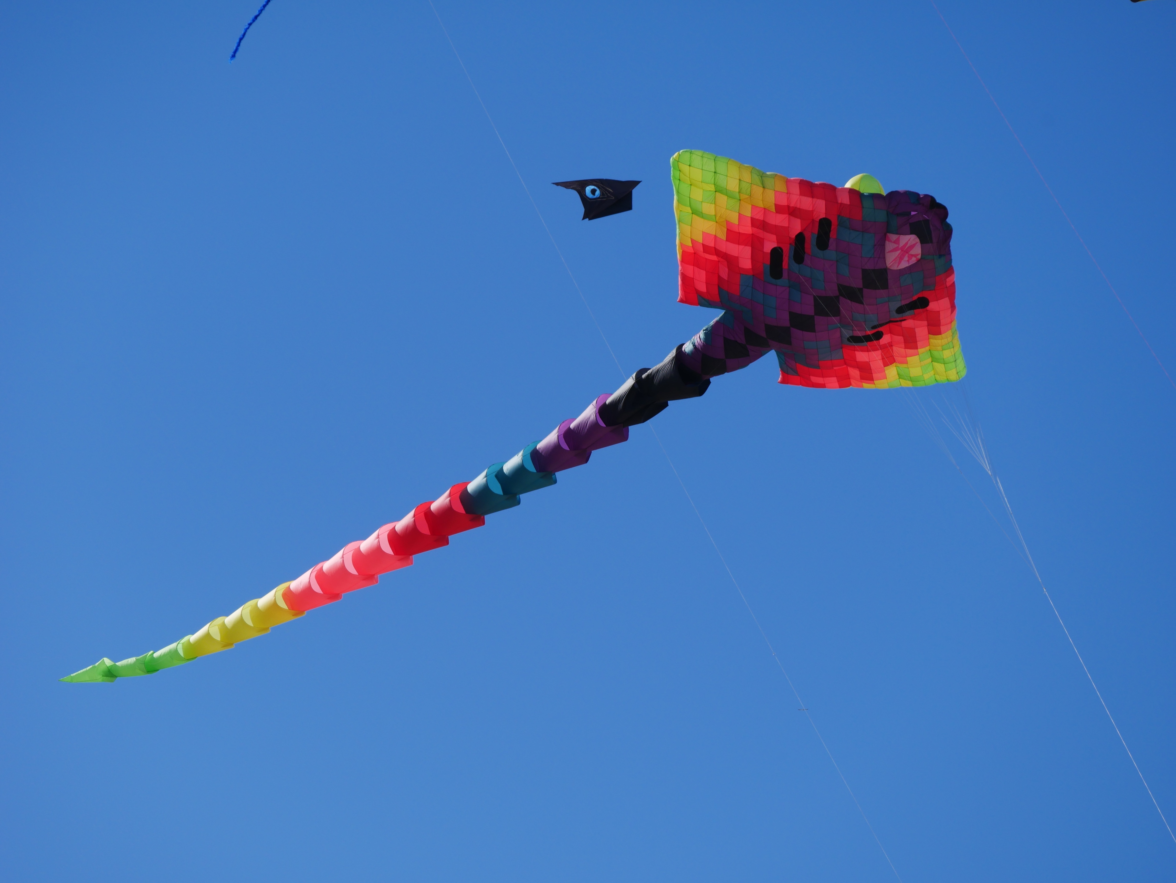 Kite Colors Colorful Flying 4592x3448