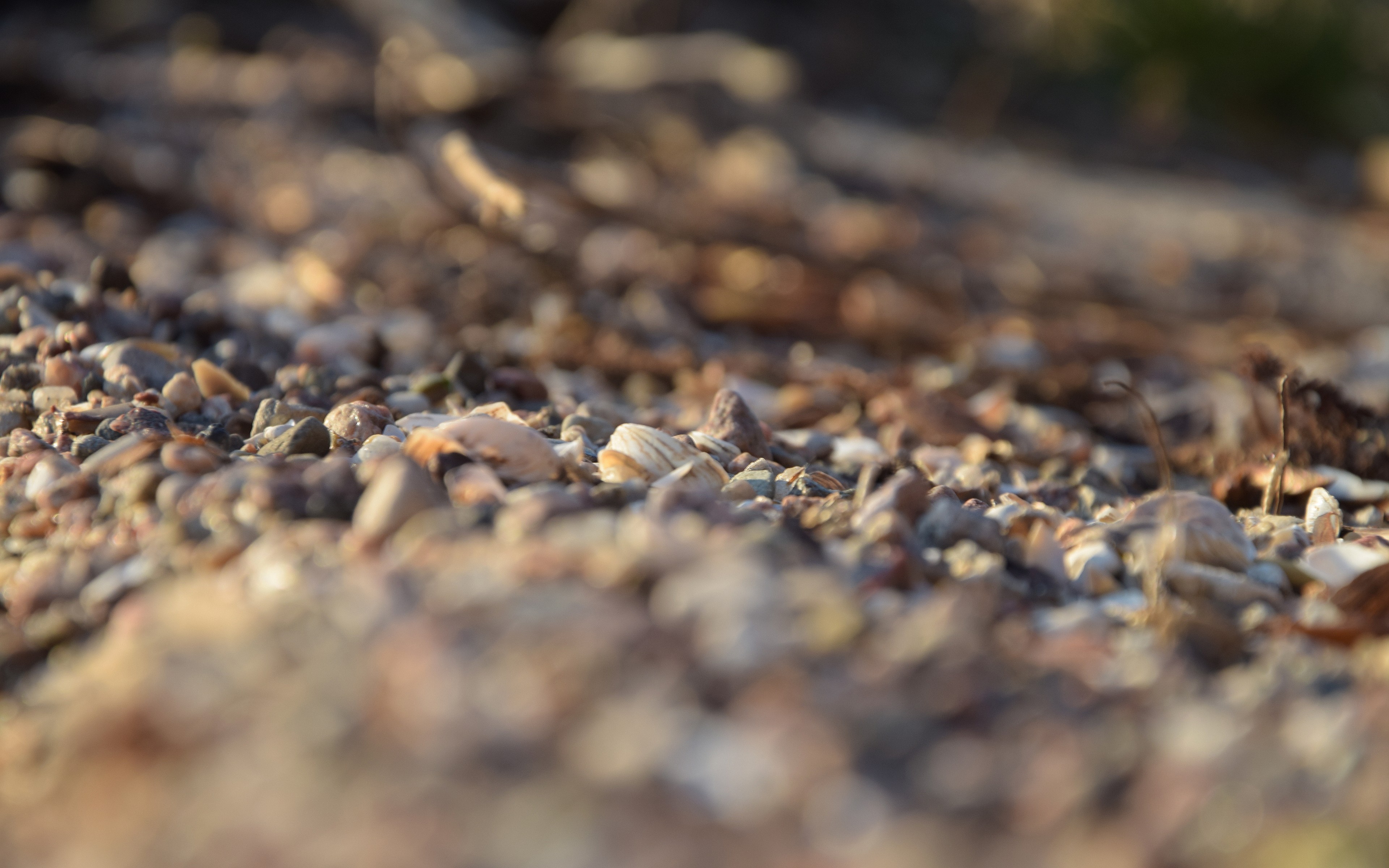 Depth Of Field Macro Seashell Ground Gravel 3840x2400