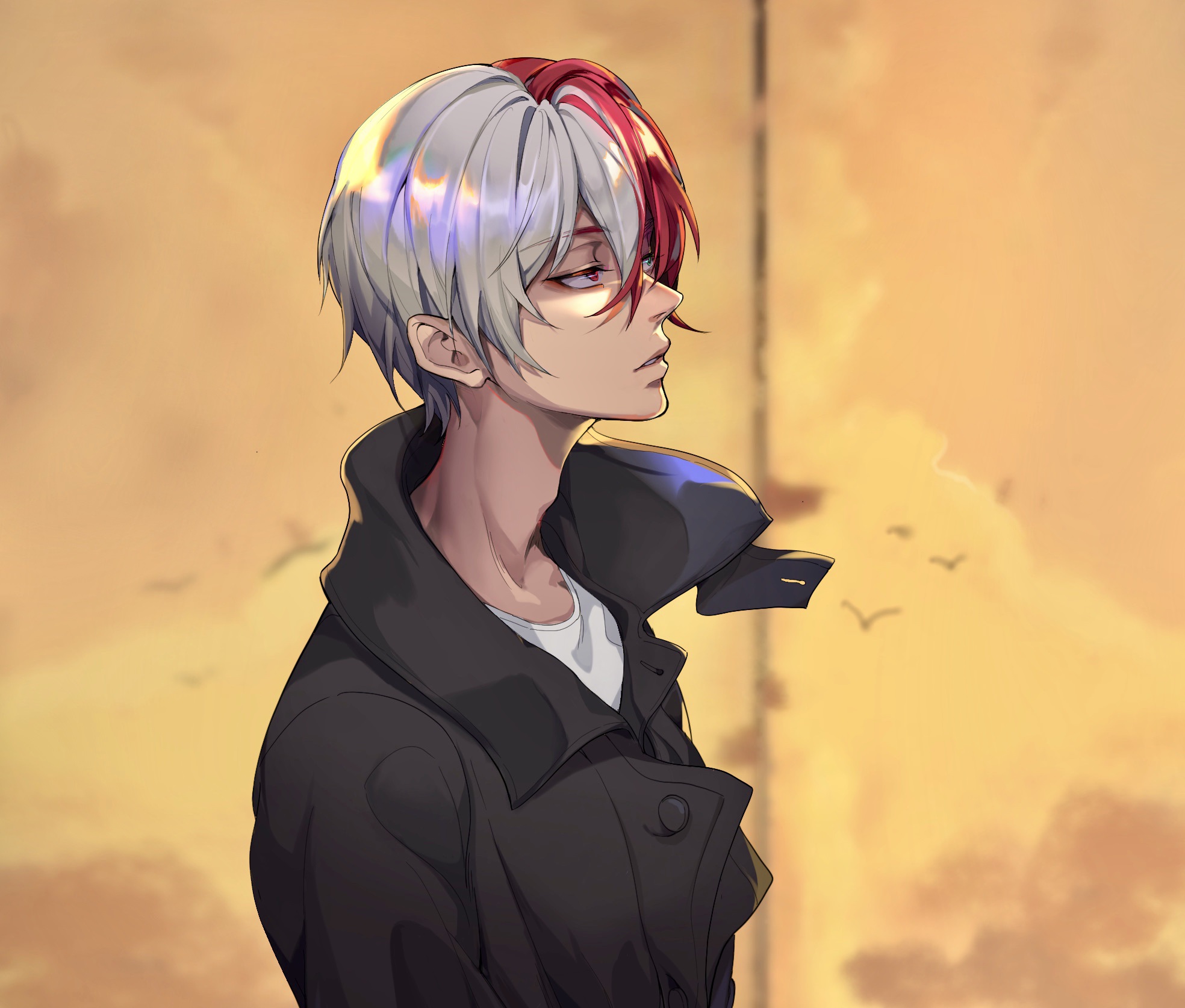 Anime 2D Anime Boys Boku No Hero Boku No Hero Academia Todoroki Todoroki Sh To Shouto Todoroki Shoto 1968x1674