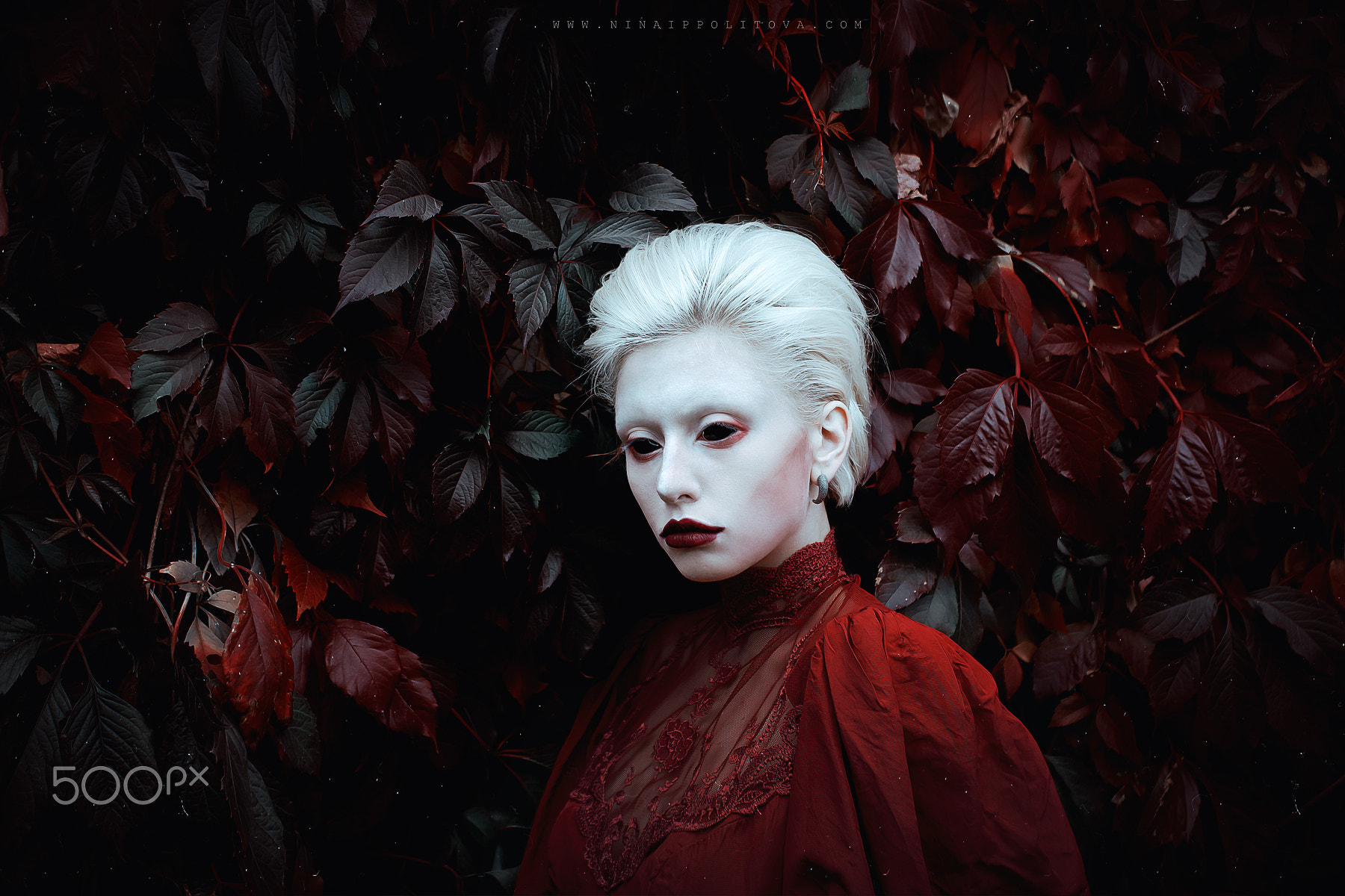 Dark Vampires Women 500px Model Shiro Igarashi 1800x1200