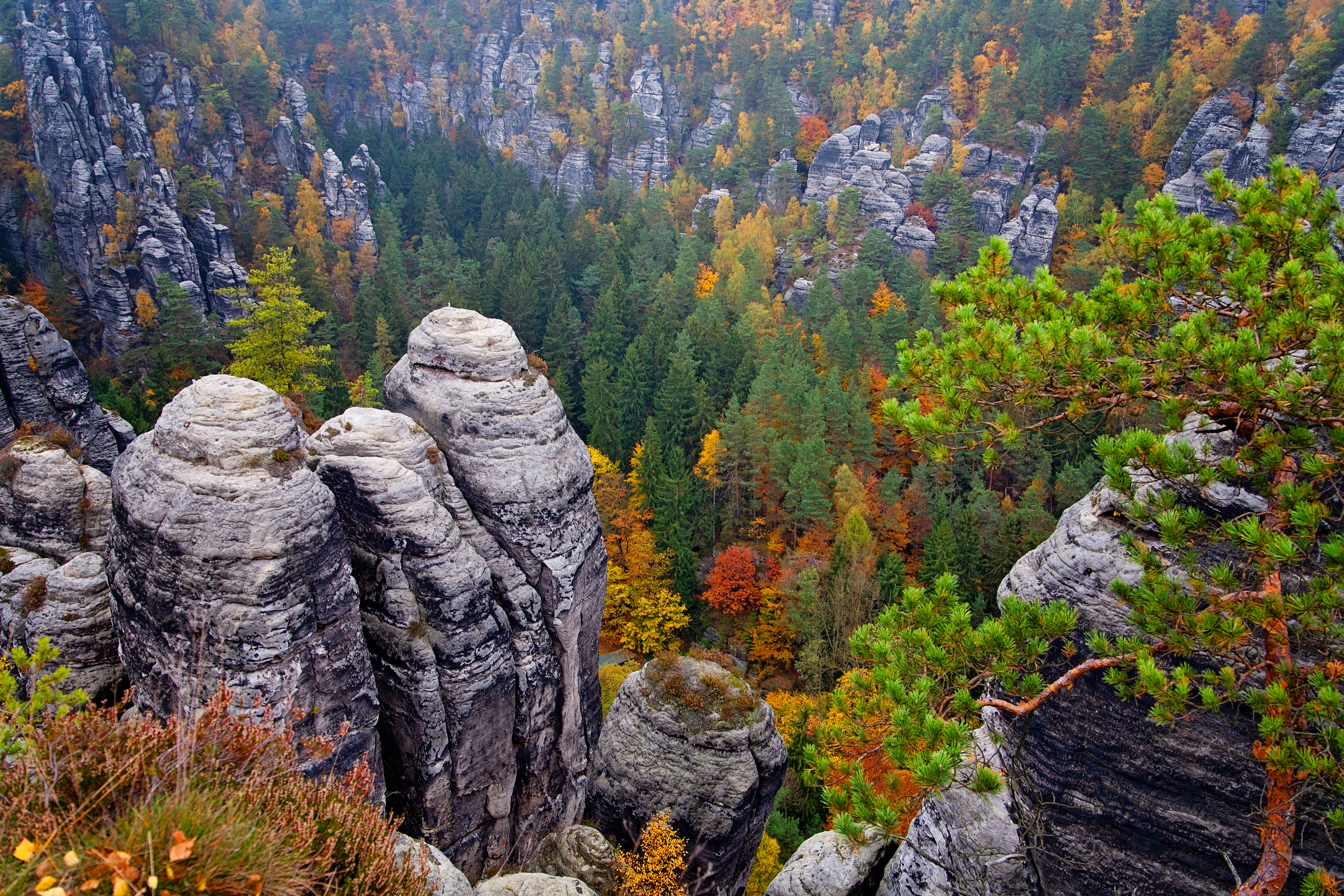 Earth Mountain Forest Sandstone Elbe Sandstone Mountains Fall Foliage Saxony Germany 4200x2800