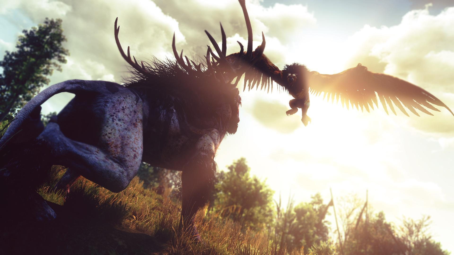 The Witcher 3 Wild Hunt Griffins Video Games Screen Shot RPG 1920x1080