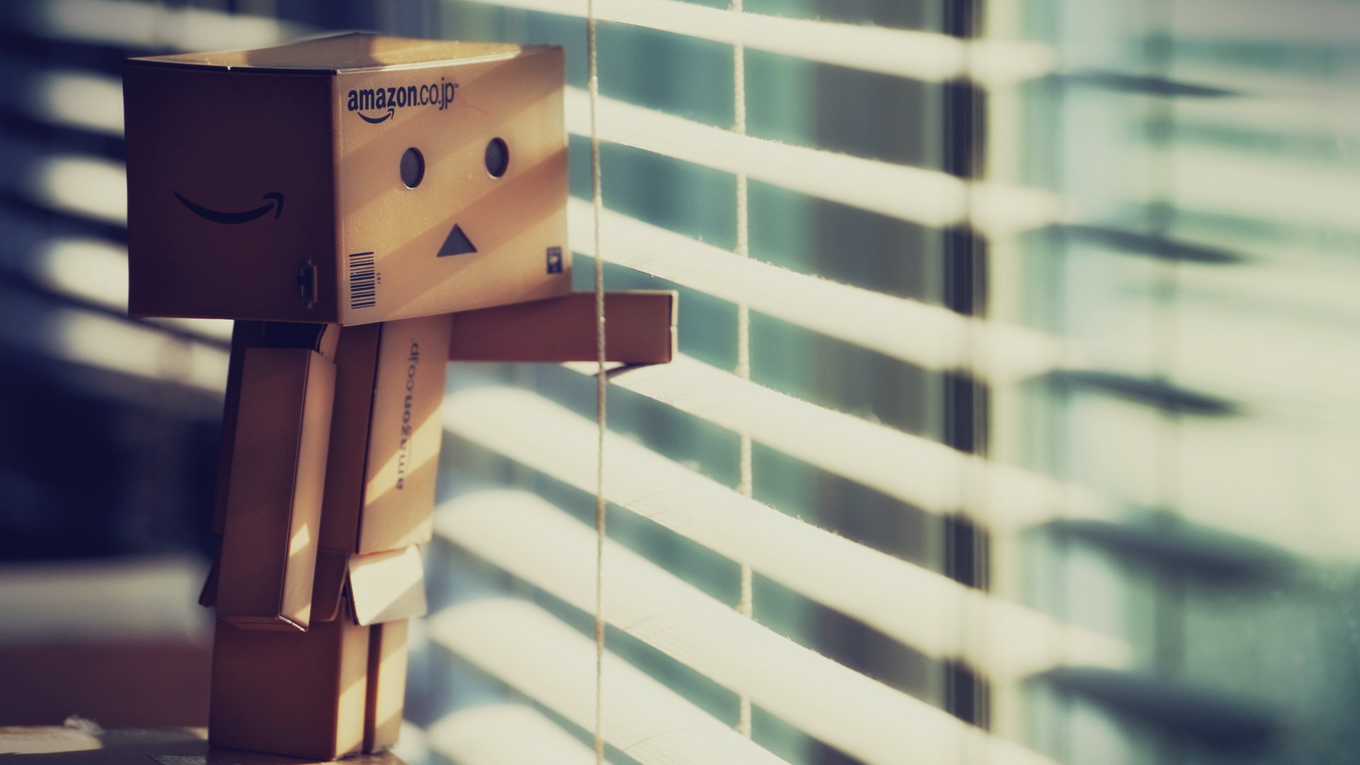 Danbo Amazon Window Indoors By The Window 1920x1080