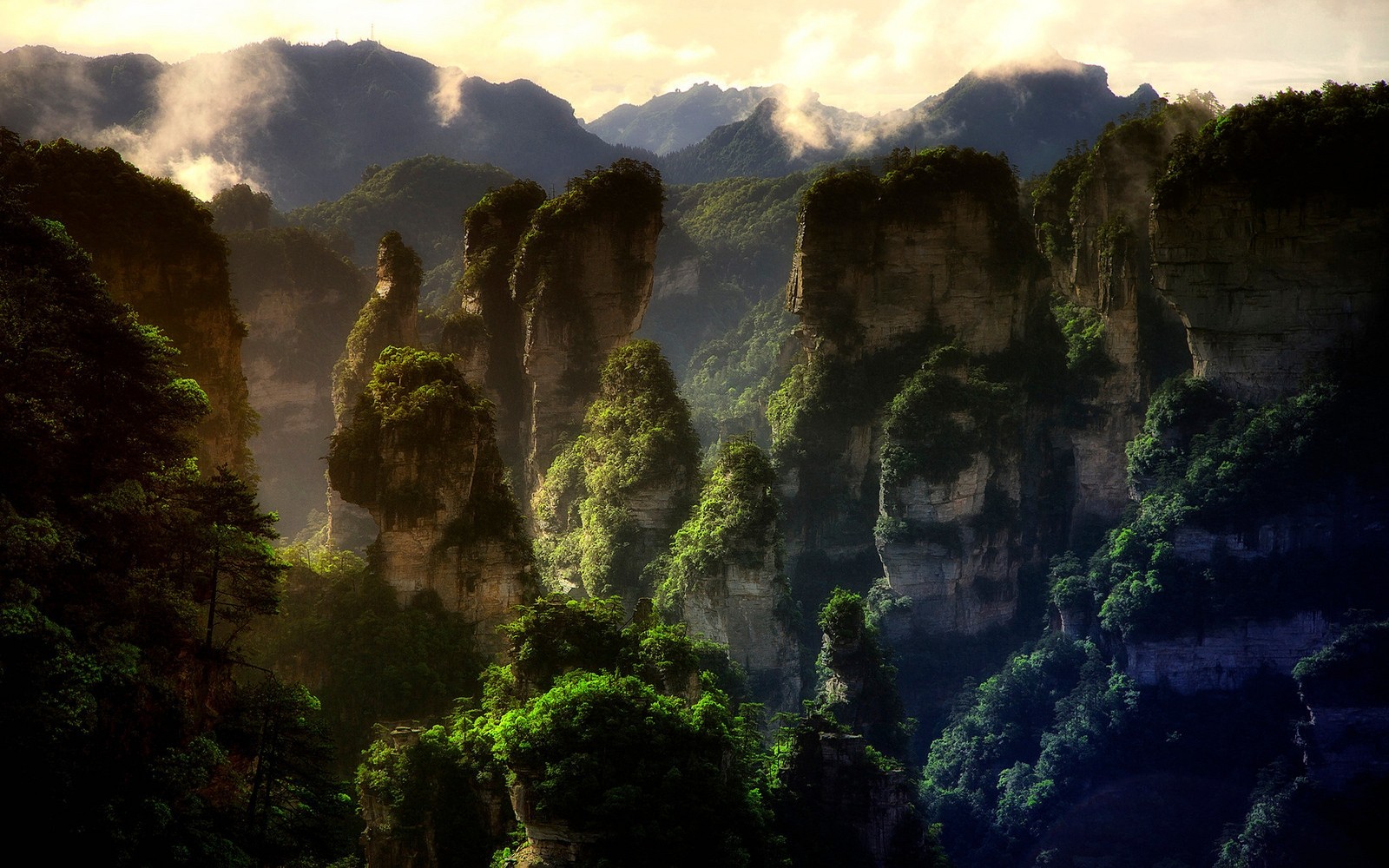 Nature Landscape Mountains Forest Sunset Mist Limestone Rock China Avatar World Heritage Site Trees 1600x1000