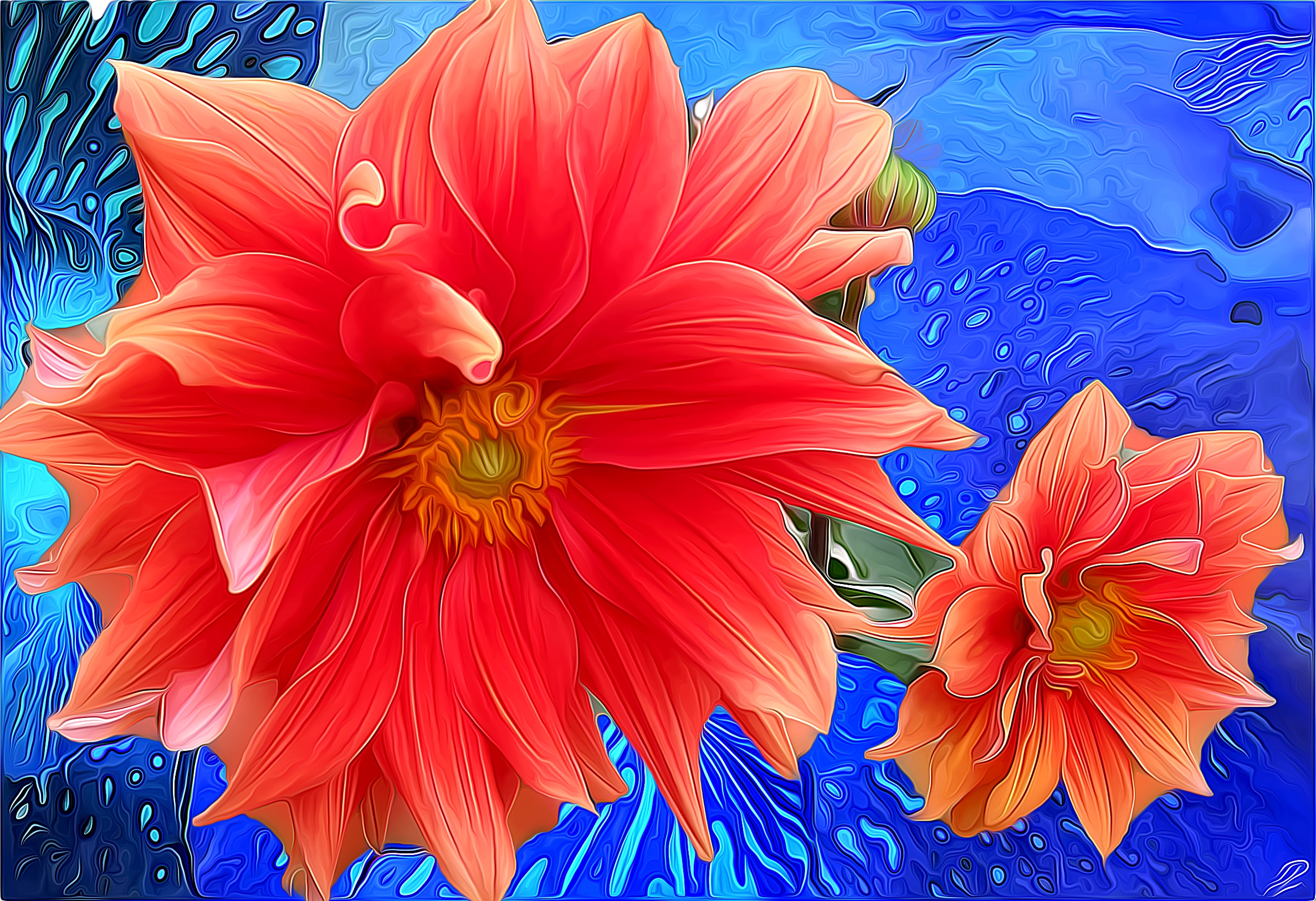 Pink Daisy Artistic Painting Flower Dahlia Colors Orange Flower 2375x1626