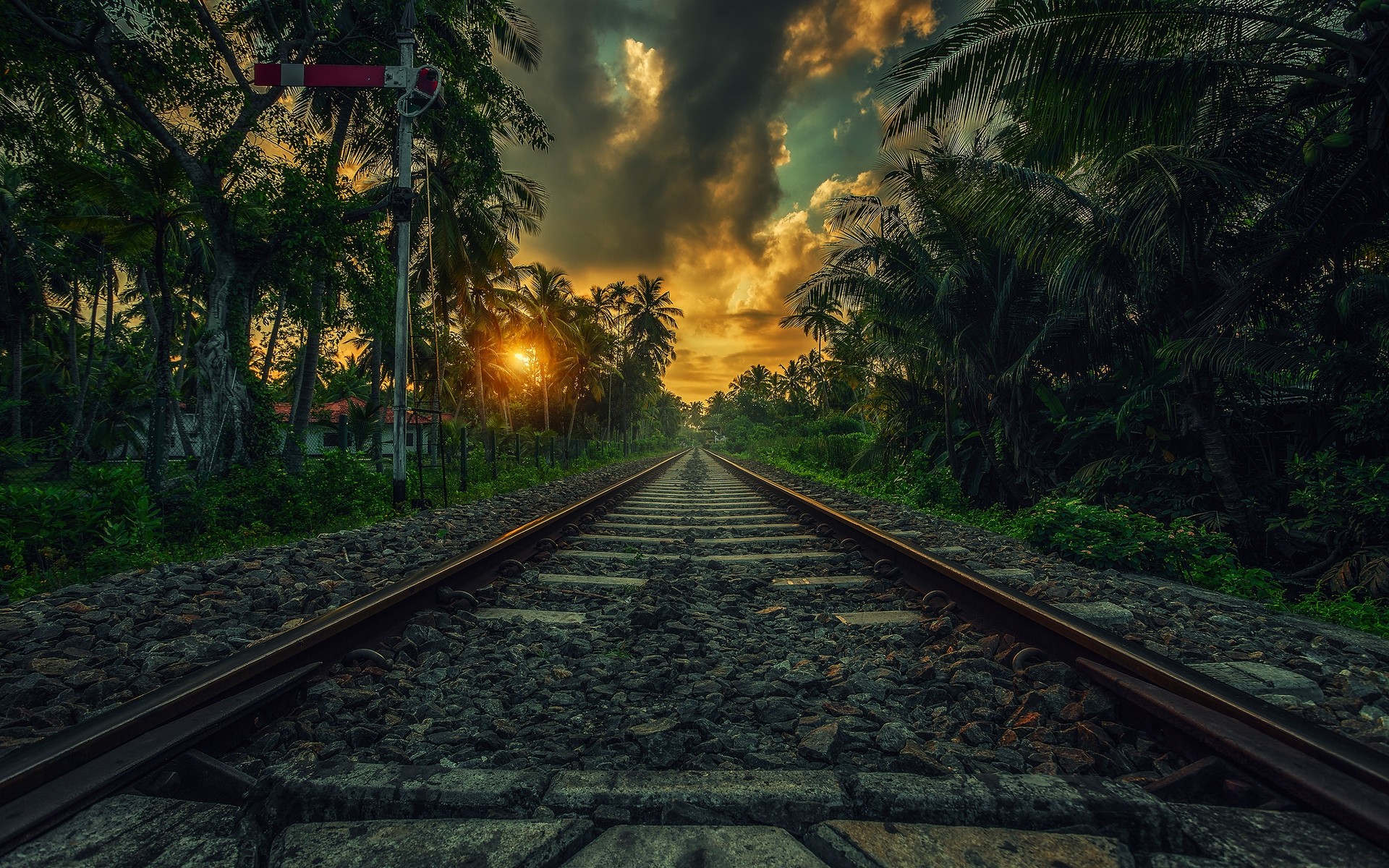 Nature Landscape Railway Sunset Palm Trees Clouds Shrubs Sri Lanka Tropical 1920x1200