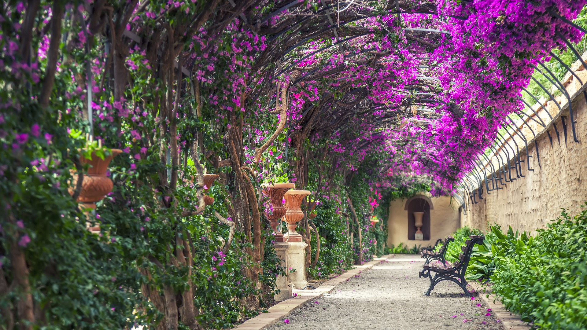 Nature Pink Flowers Plants Bench Valencia Spain Spain Shade Architecture Pottery 1920x1080