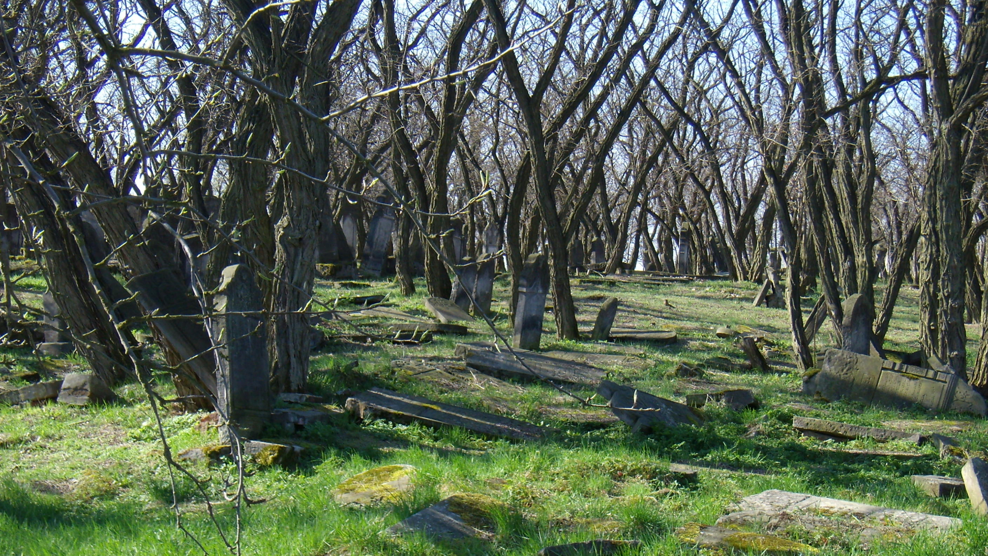 Religious Cemetery 1920x1080