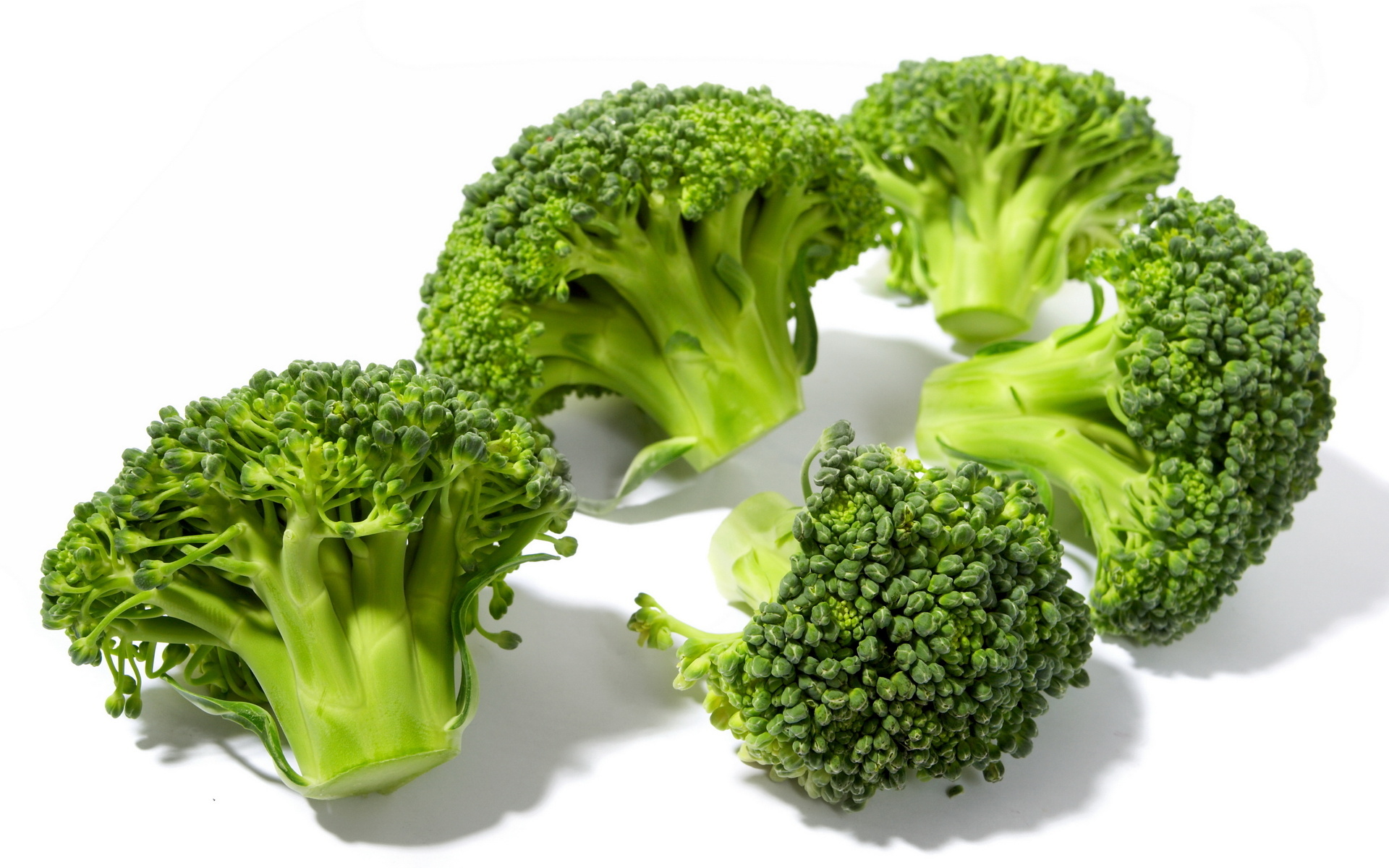 Food Broccoli 1920x1200