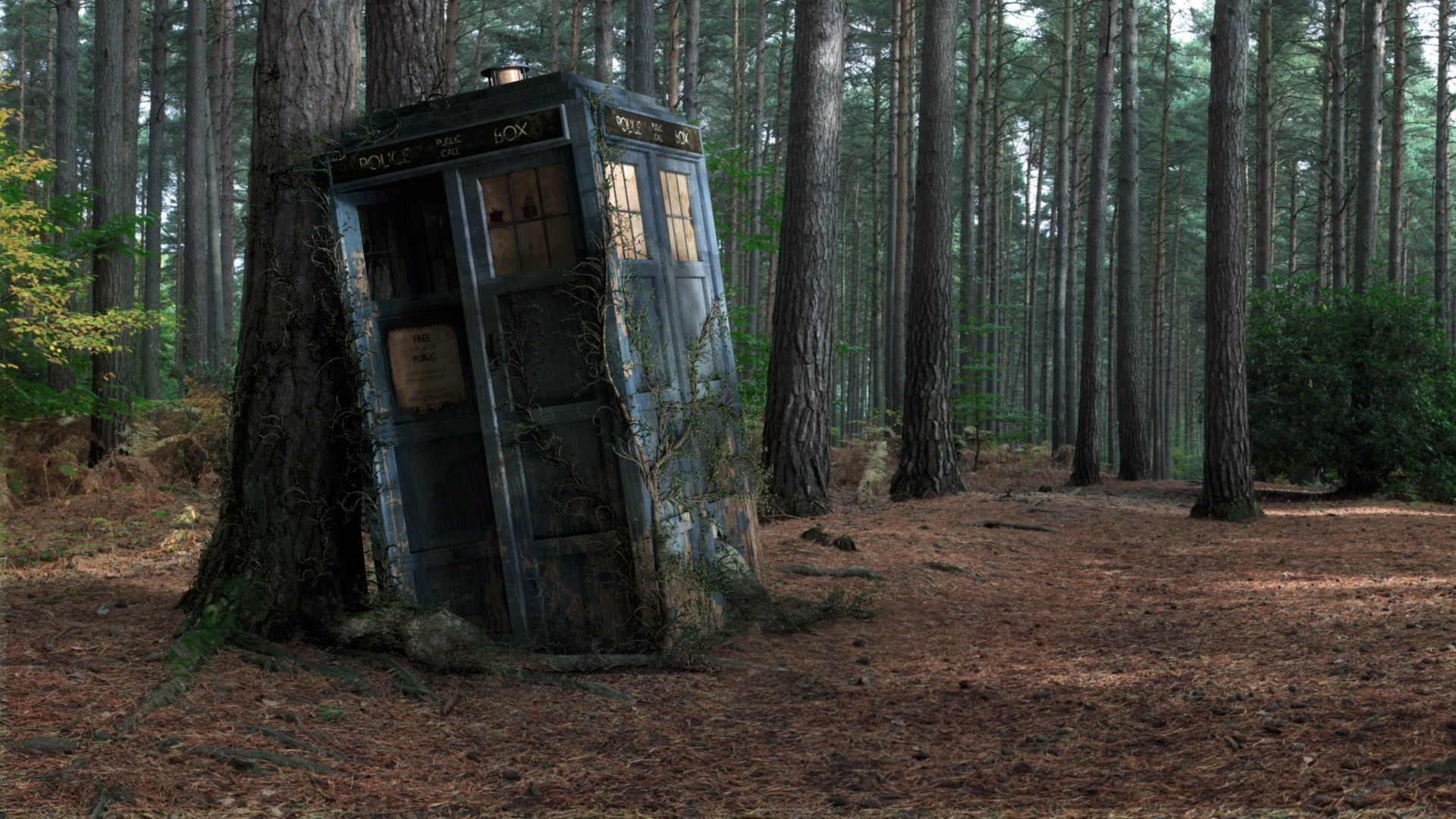 Doctor Who TARDiS Wood Decay 1920x1080
