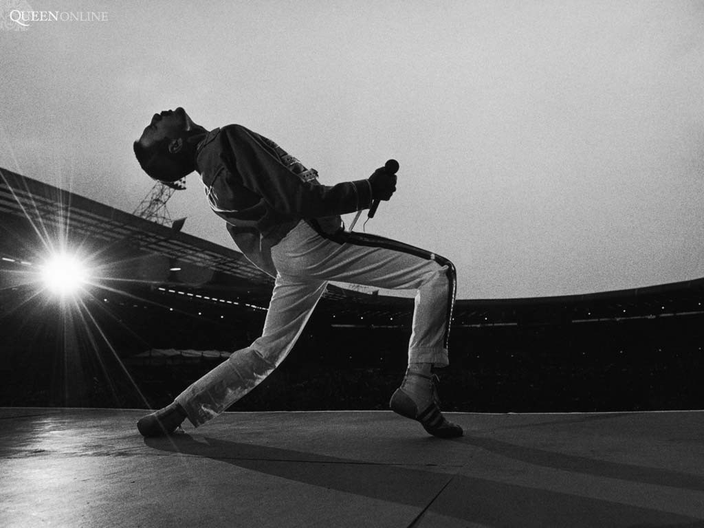 Freddie Mercury Singer Men Monochrome Queen 1024x768