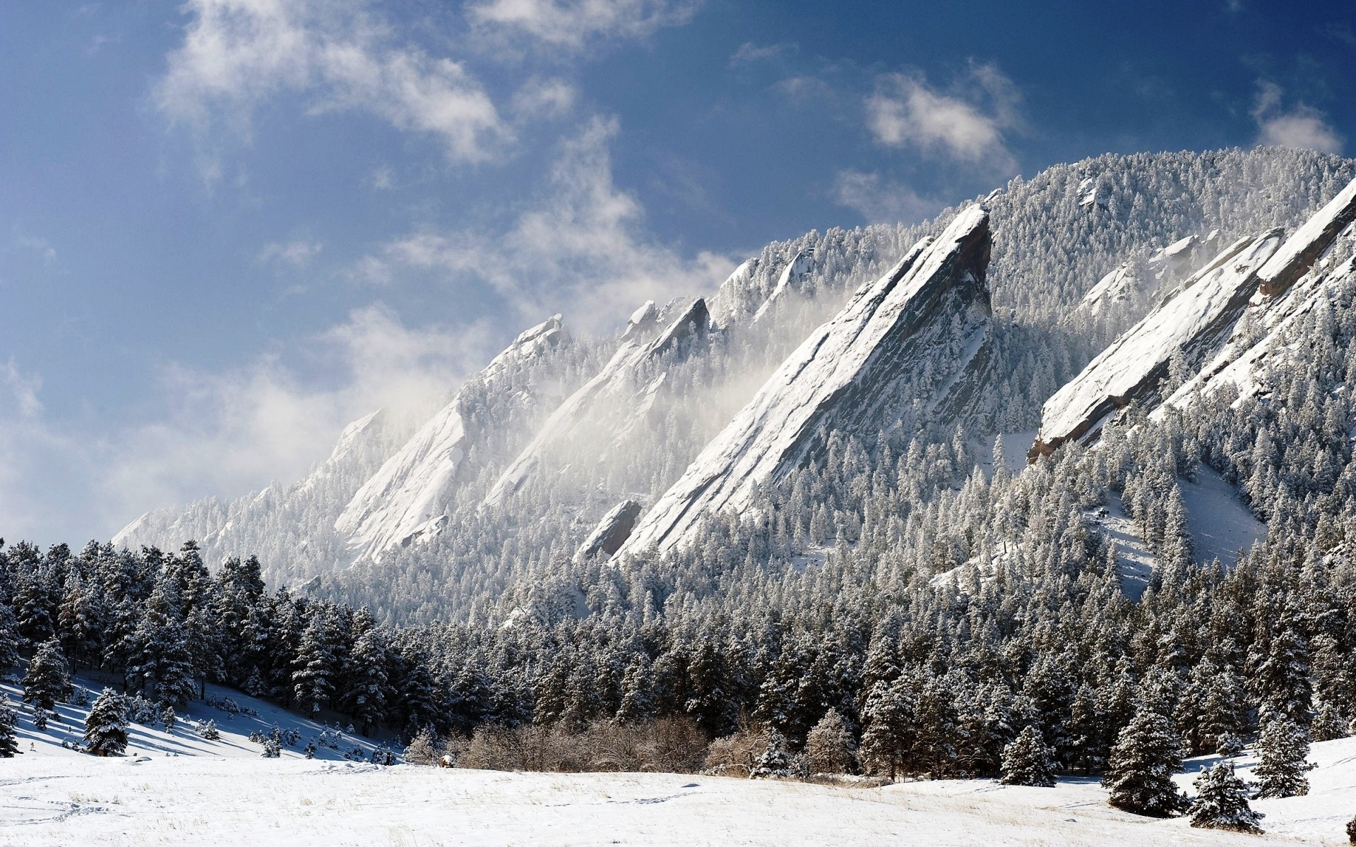 Nature Landscape Mountains Snow Forest Colorado Winter Nature Landscape Mountains Pine Trees Trees F 1920x1200