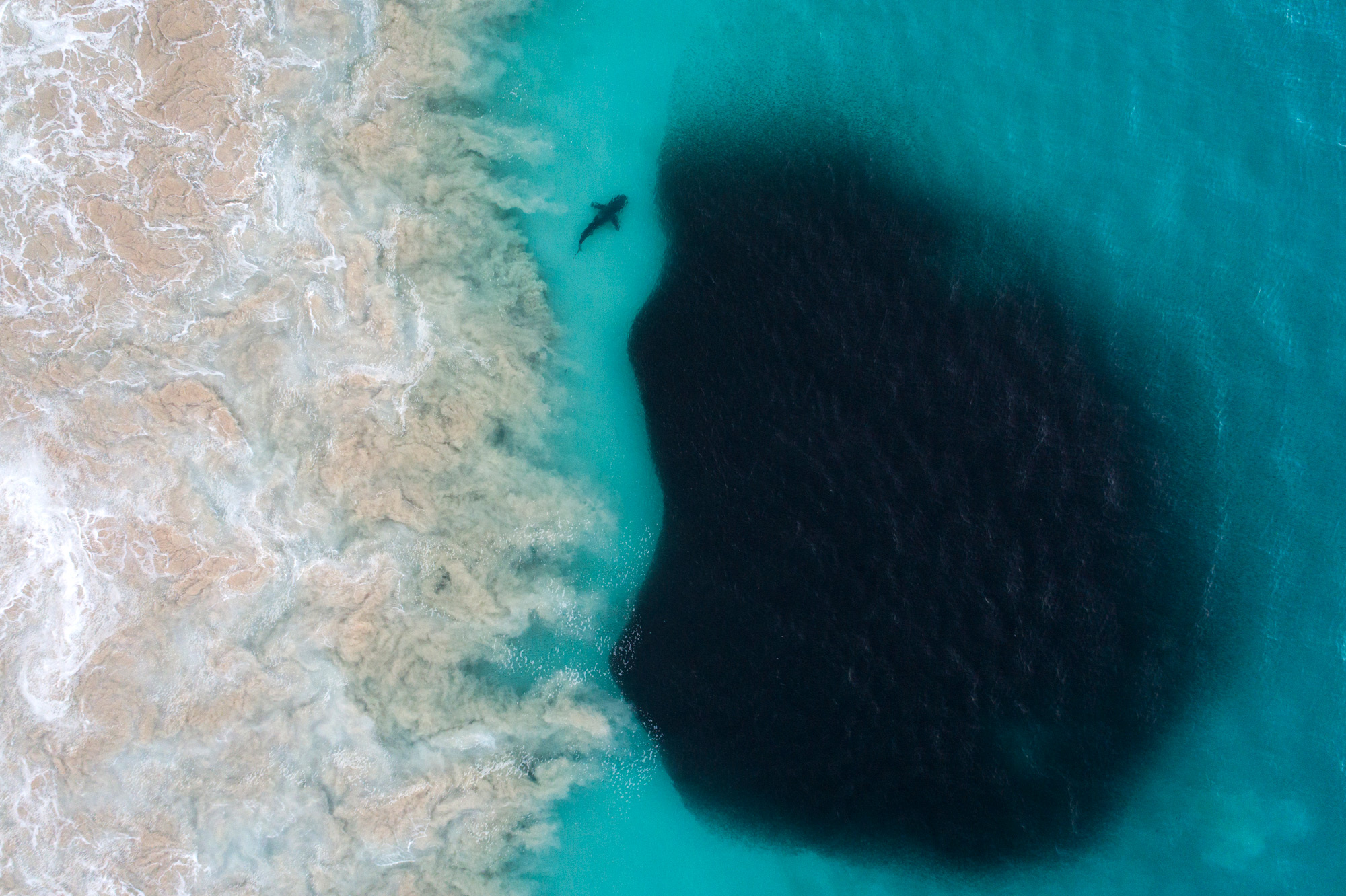 Photography Aerial View Nature Landscape Sea Shark Waves Underwater Deep Sea Cyan Birds Eye View 2000x1332