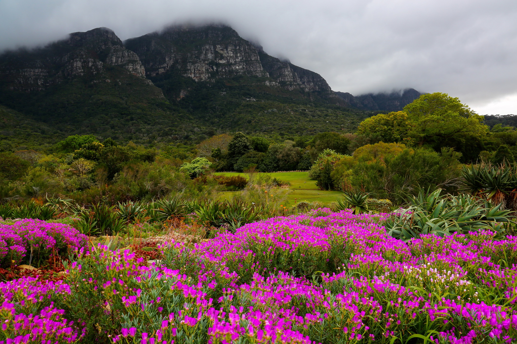 Cape Town Kirstenbosch National Botanical Garden Mountains Trees Flowers Clouds Park Nature 2048x1365